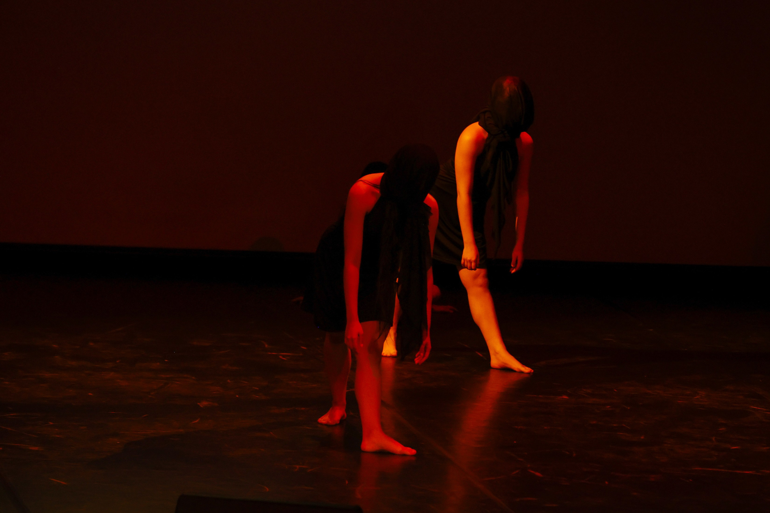 Небесные ласточки на Танц ЭКСПО 2026. Фотограф Юлия Мальцева