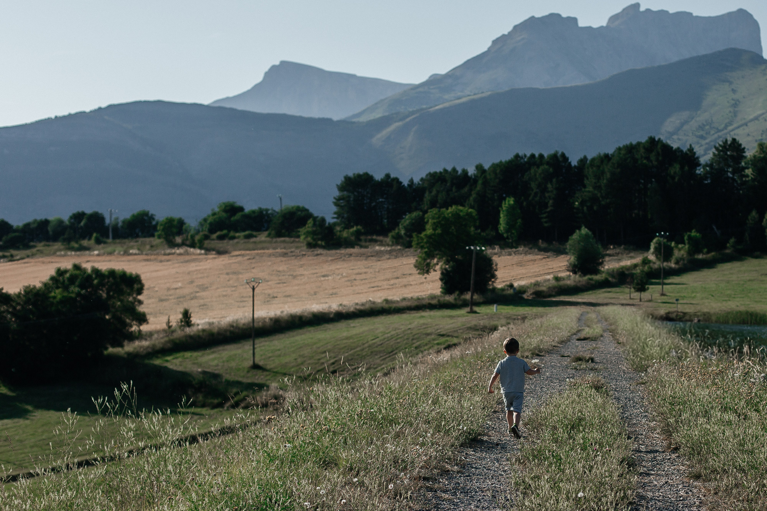 Гийом, Ларс и Жава