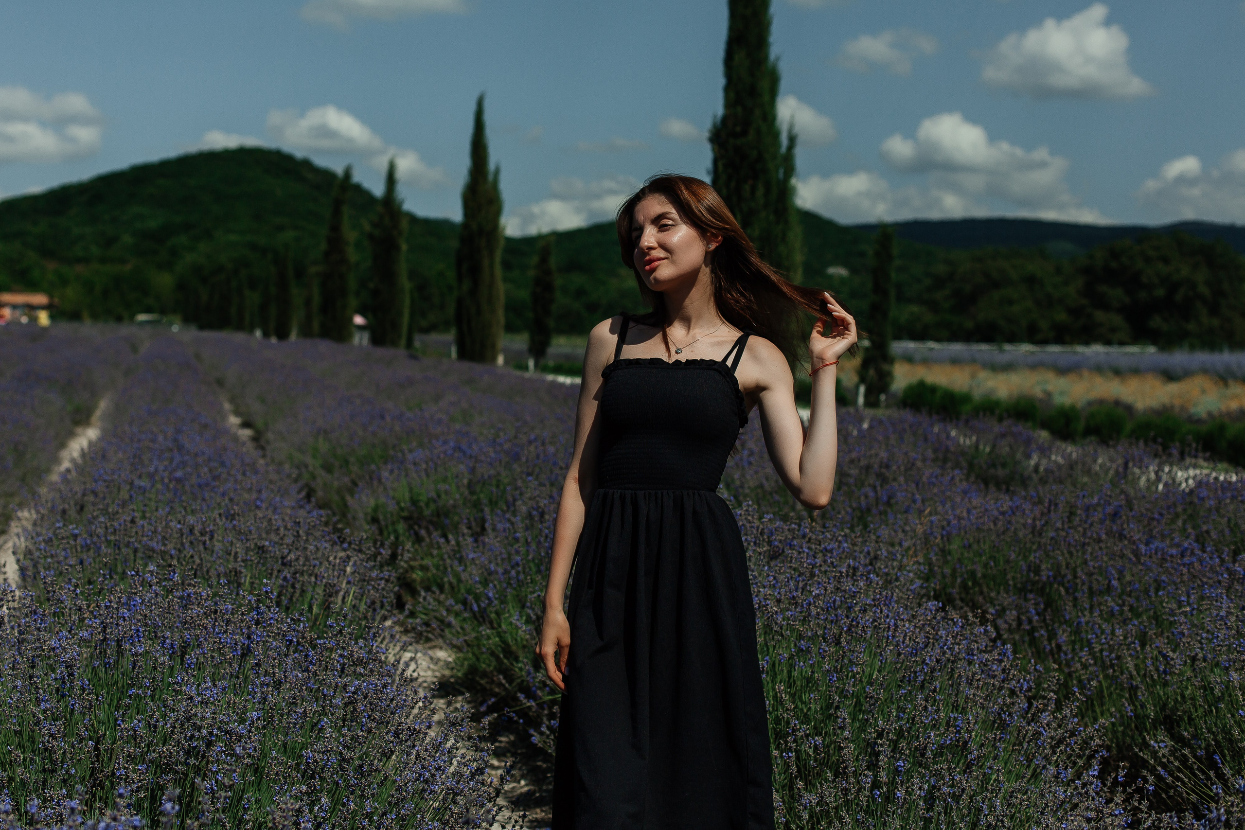 Лавандовые поля