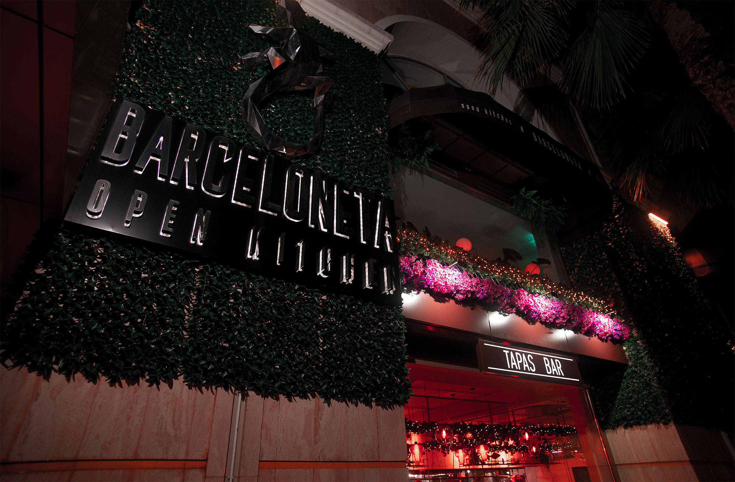 Party. Nadezhdin Studio