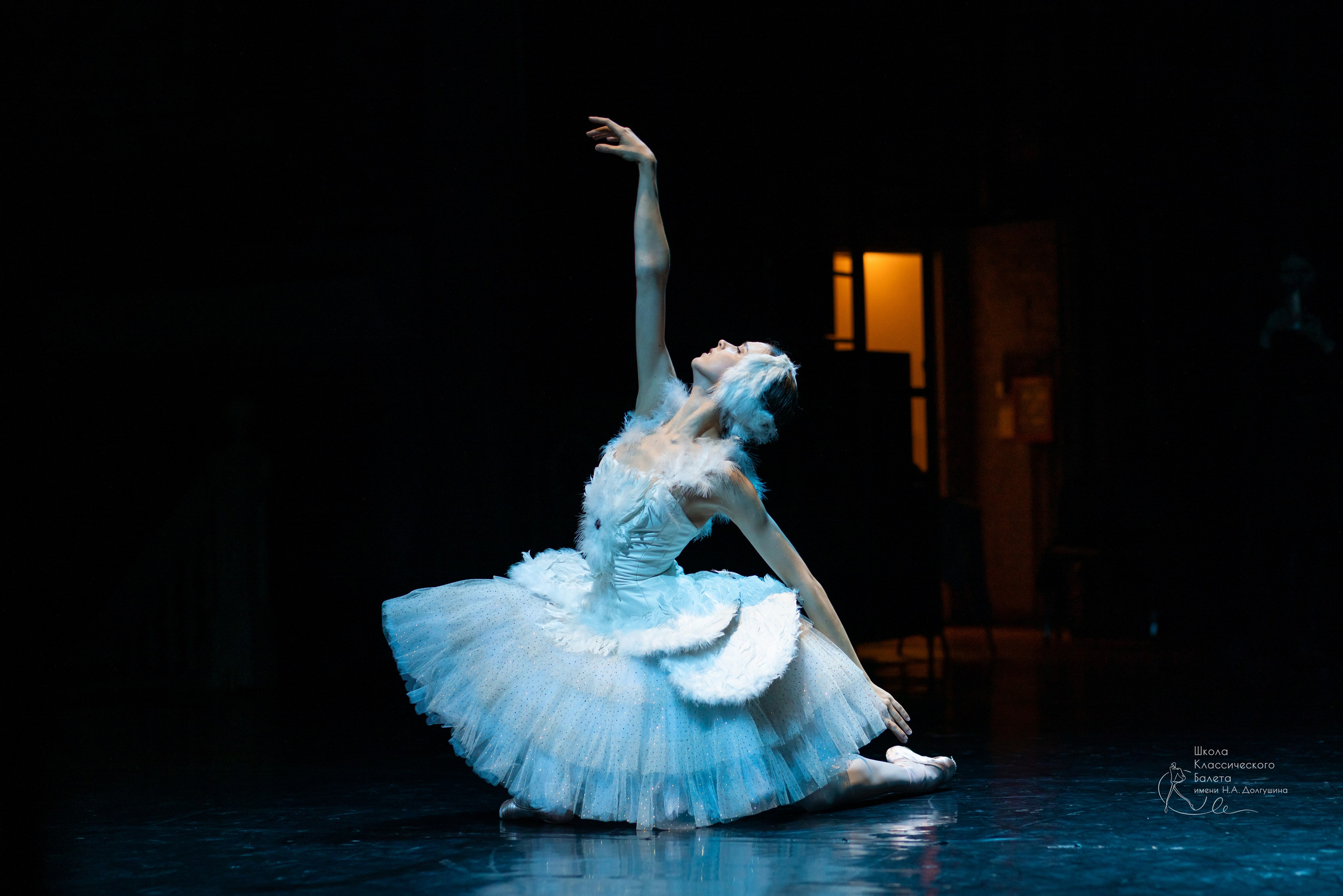 Репортажная съёмка концертов, открытых уроков, балетов. Балетный фотограф Алина Ханько — Душа Балета