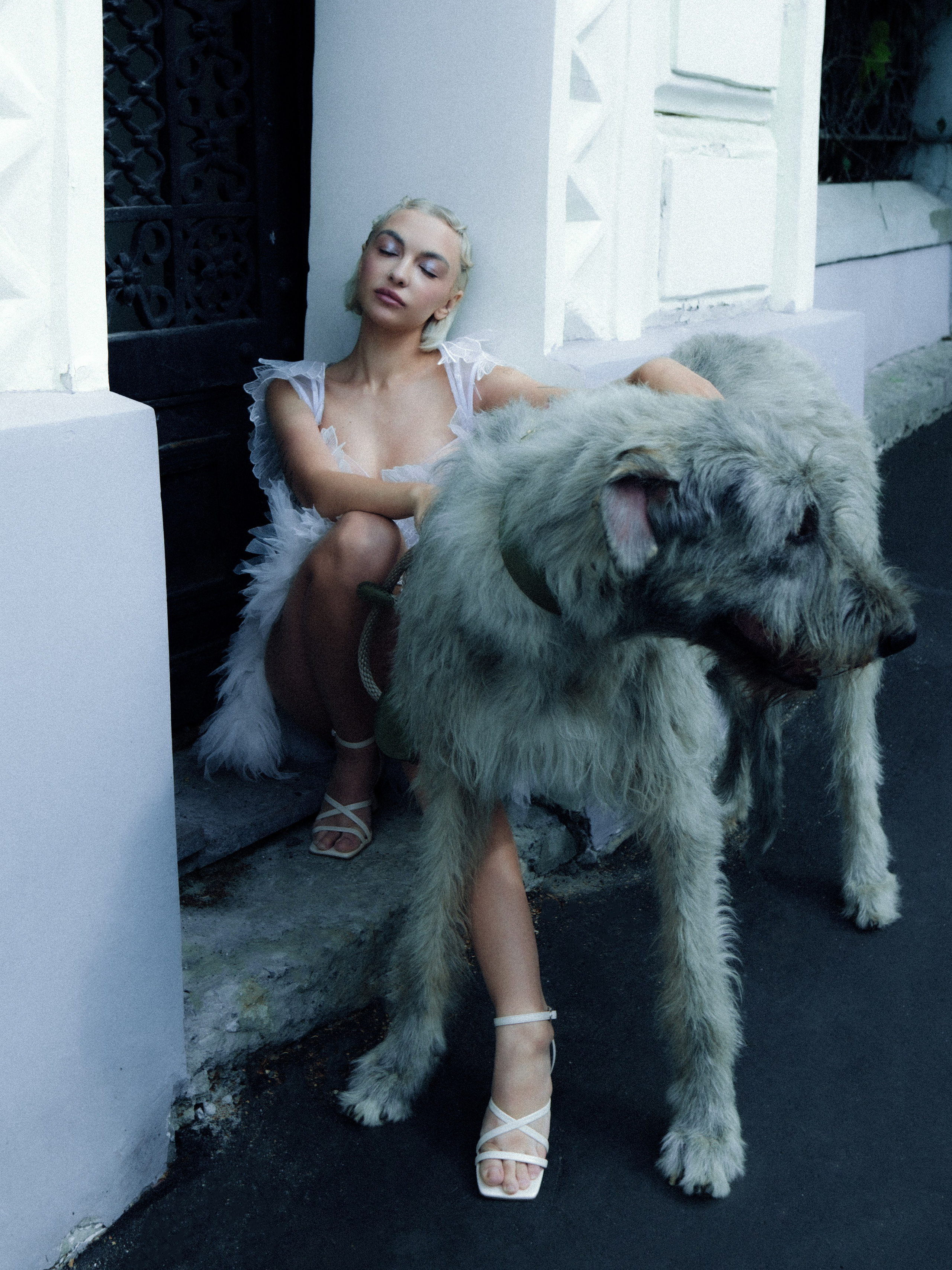 Dogbar. Dariaegudina.ru