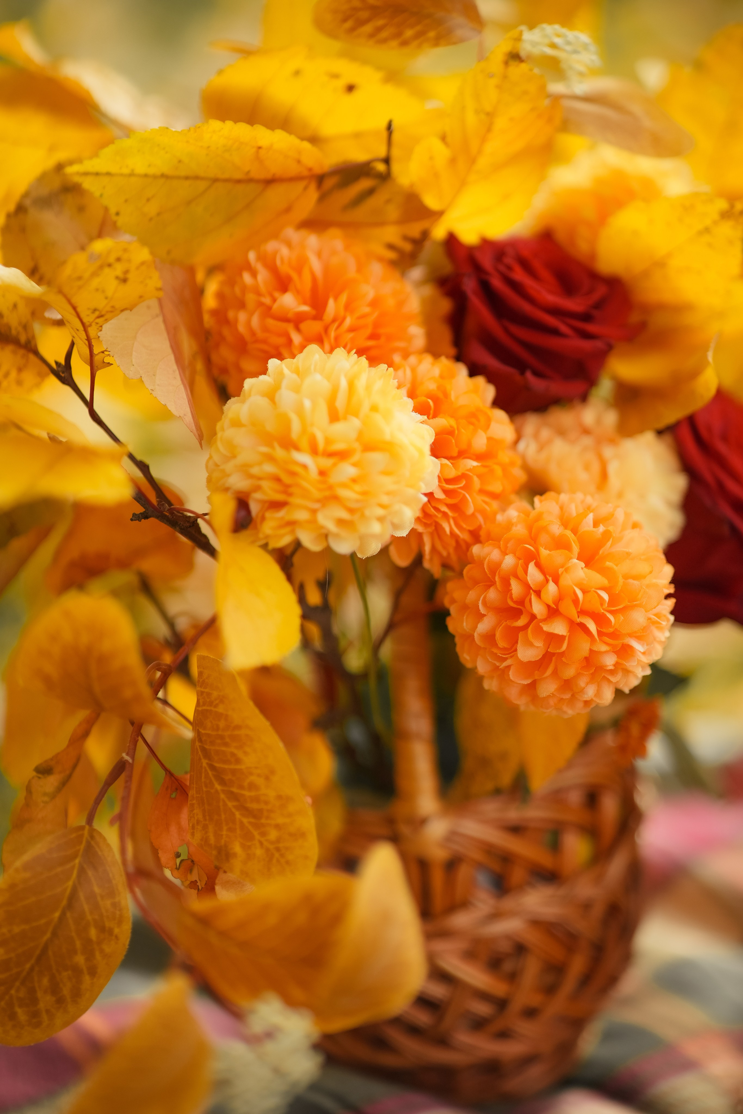 Пикник в парке золотая осень