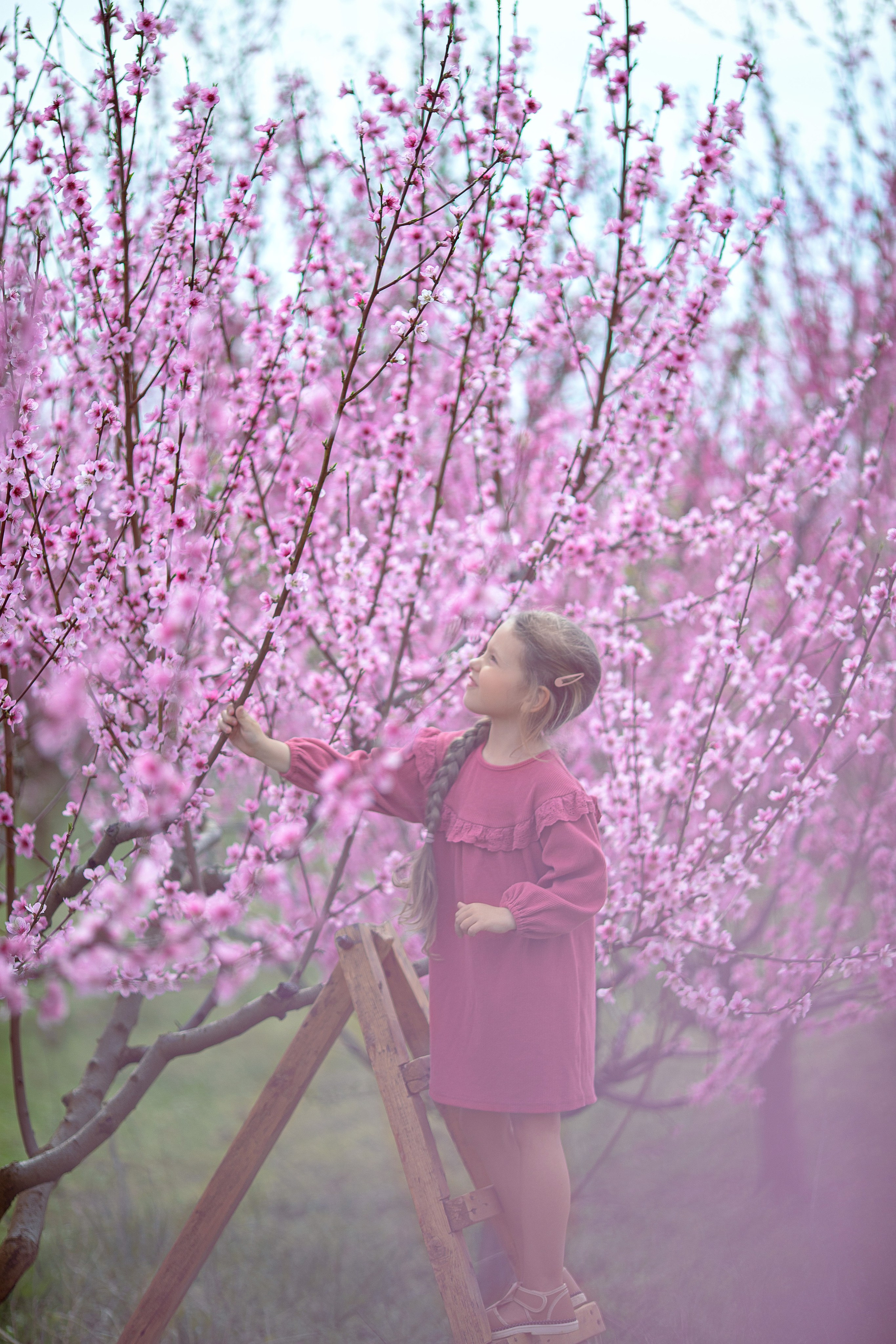 Цветущие персики 2024 г. Семейный и детский фотограф в Крыму Екатерина Швец