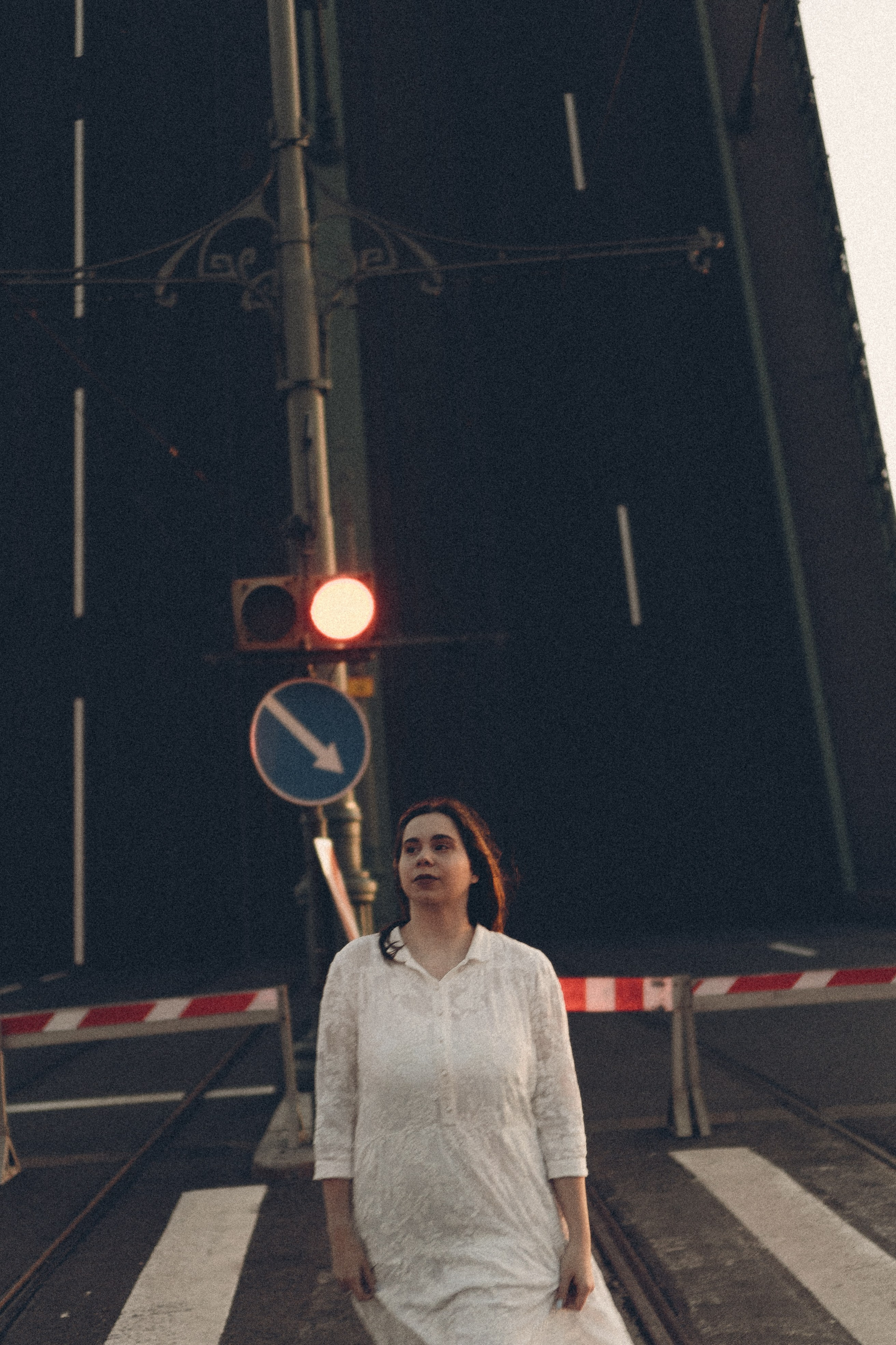 РАССВЕТ С РАЗВОДНЫМИ МОСТАМИ. Профессиональный фотограф, Санкт-Петербург — Виктория Богомолова