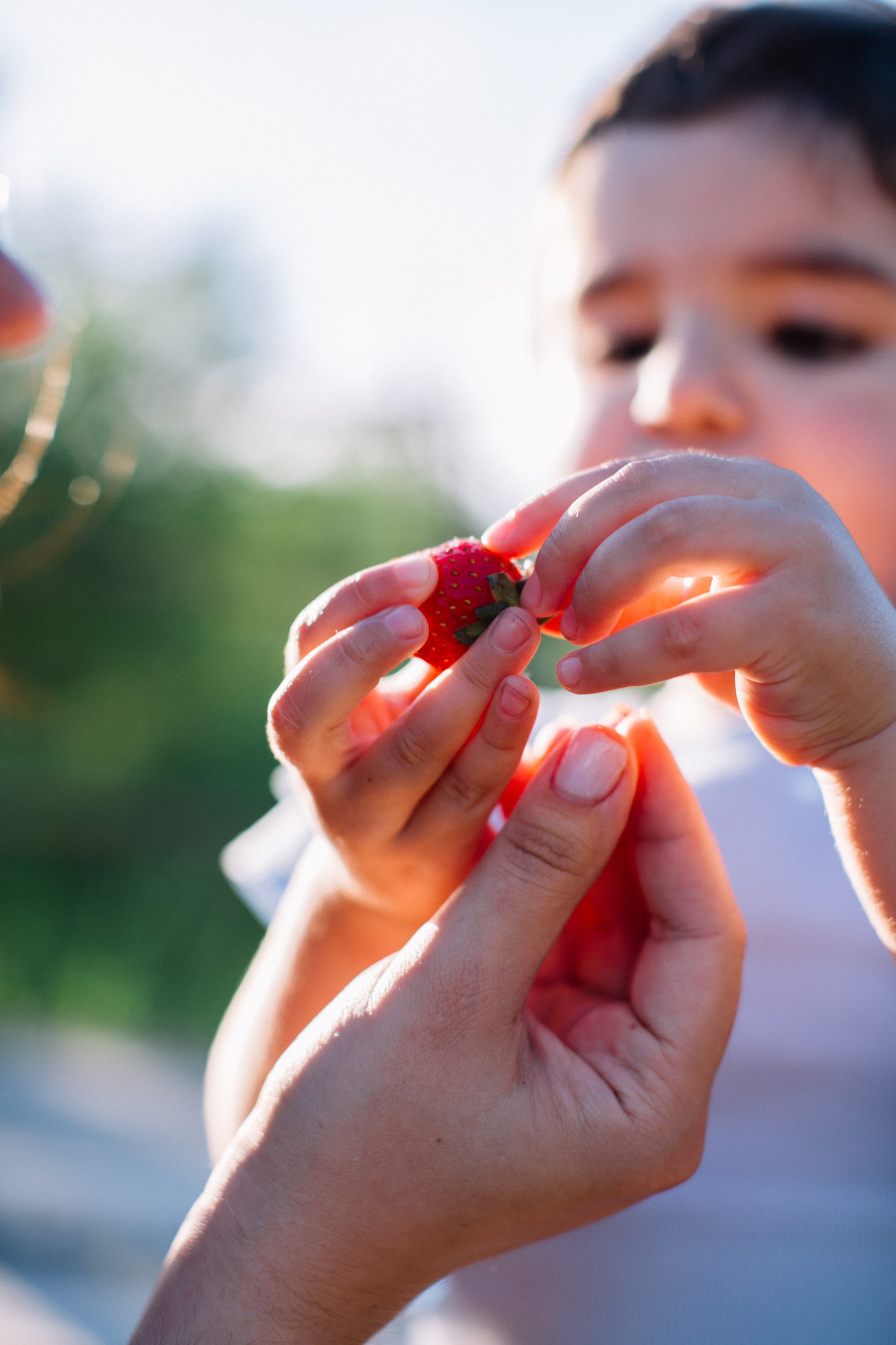 семейный детский фотограф новосибирск клубника