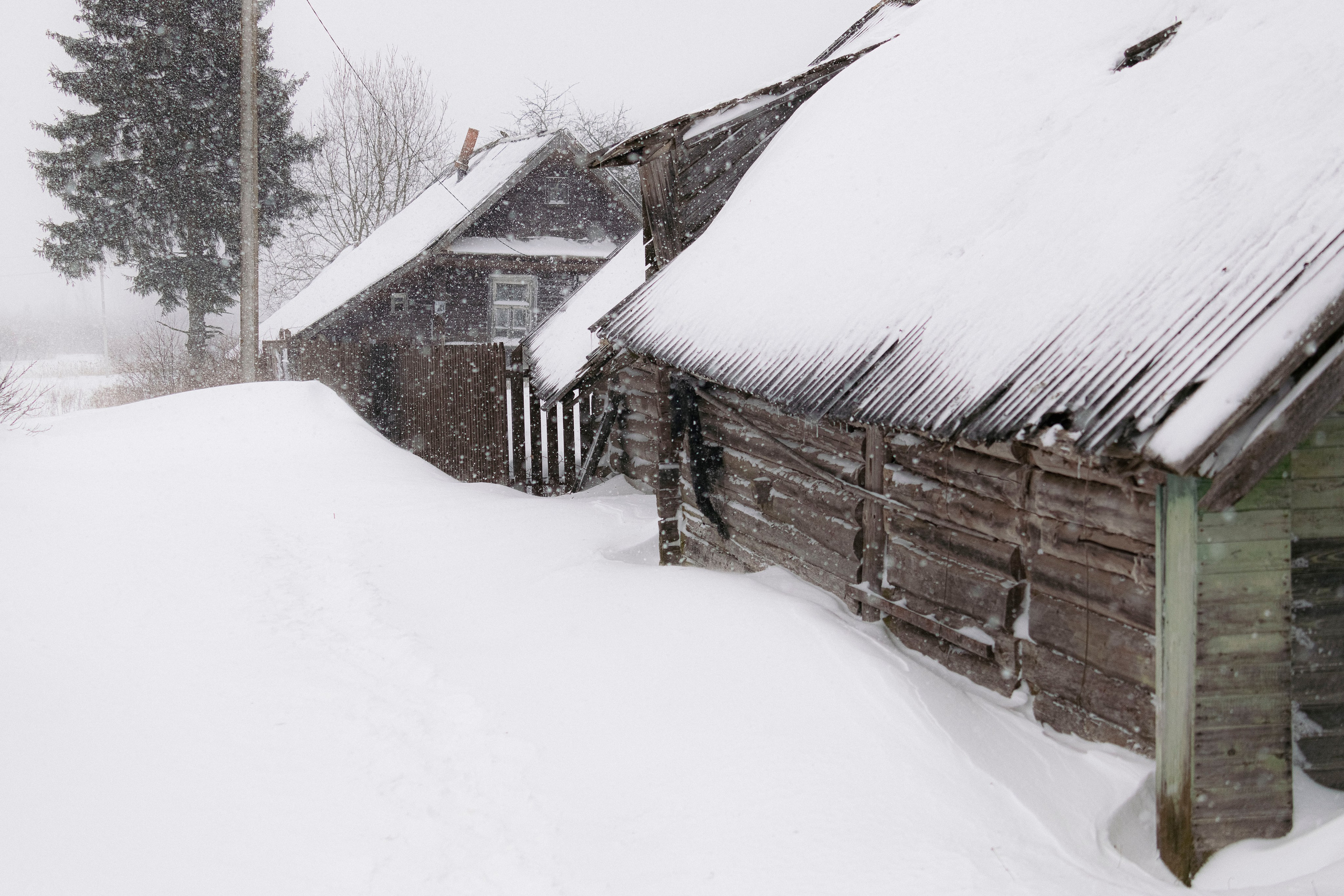 Цветные фотографии. Фотографии Лены Соколовой
