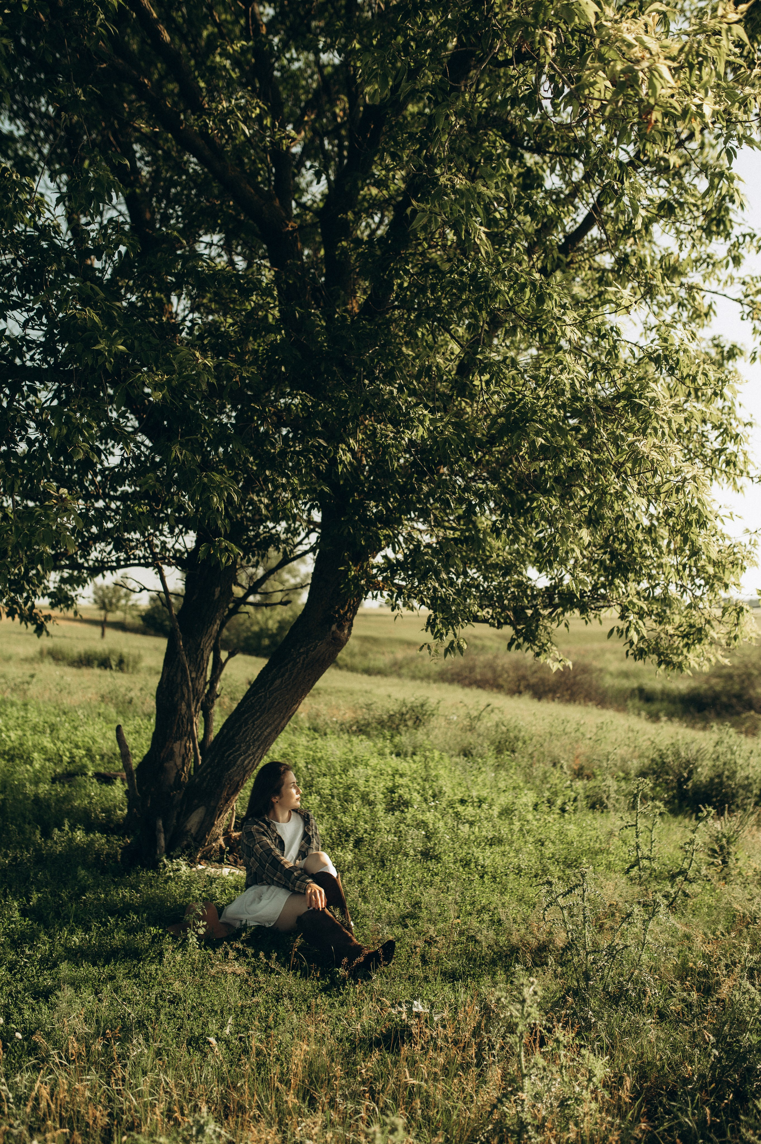 Фотосессия с овечками. Фотограф Быстрова Дарья г. Москва