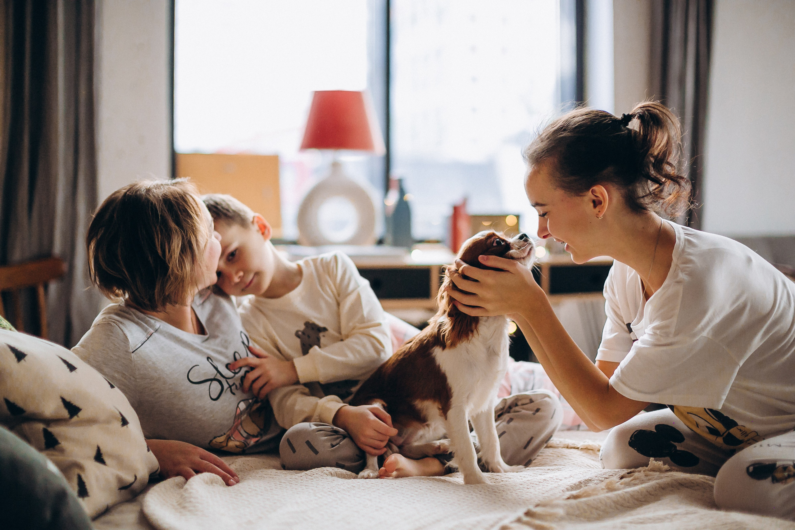 Новогодние фотосессии. Семейный, детский и школьный фотограф в Москве Рудницкая Анна