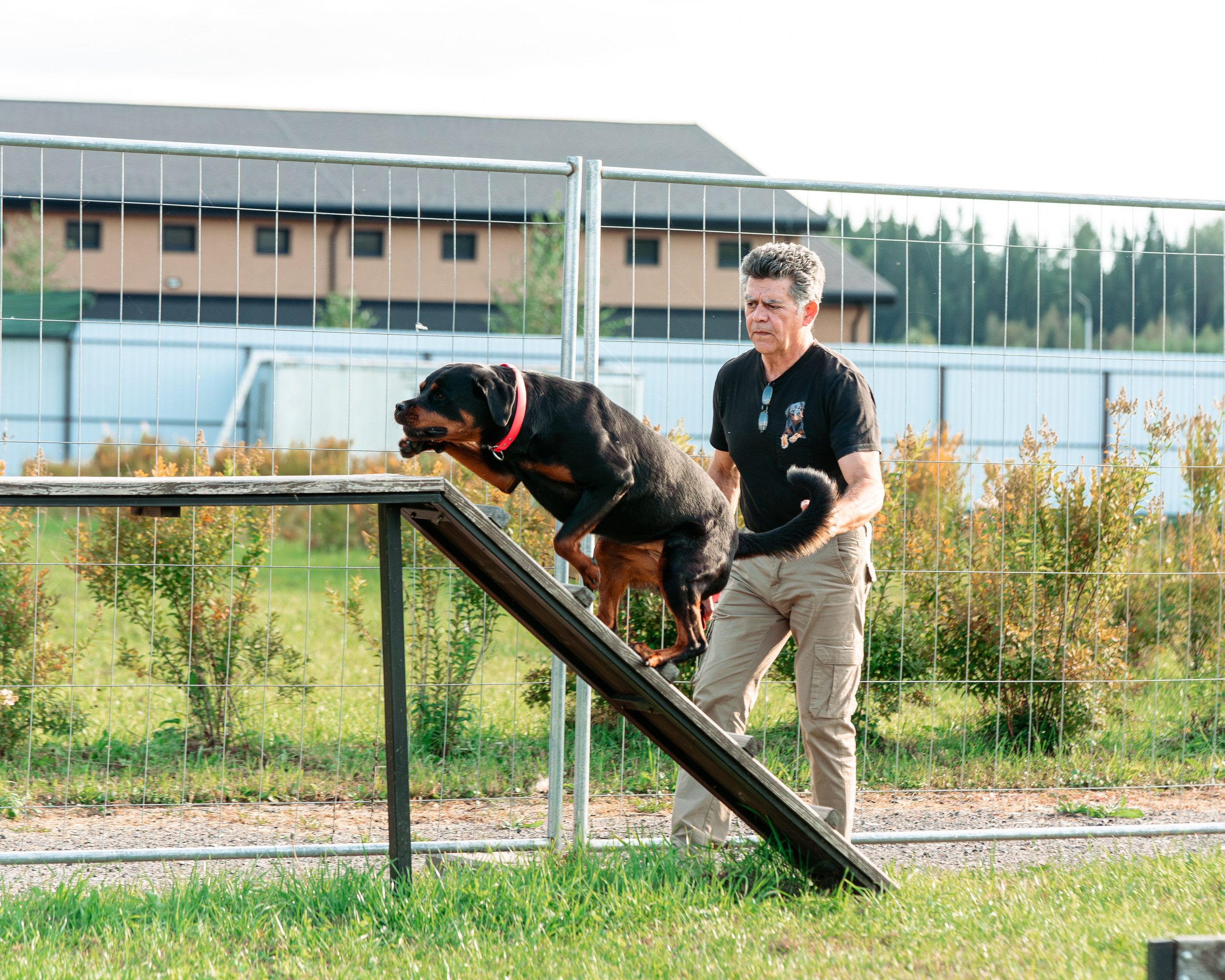 Ваш путь к ПОБЕДЕ (ТРЕНИРОВКИ). Фотограф-анималист, семейный фотограф в Москве и Подмосковье. Фотосъёмка кинологических дисциплин
