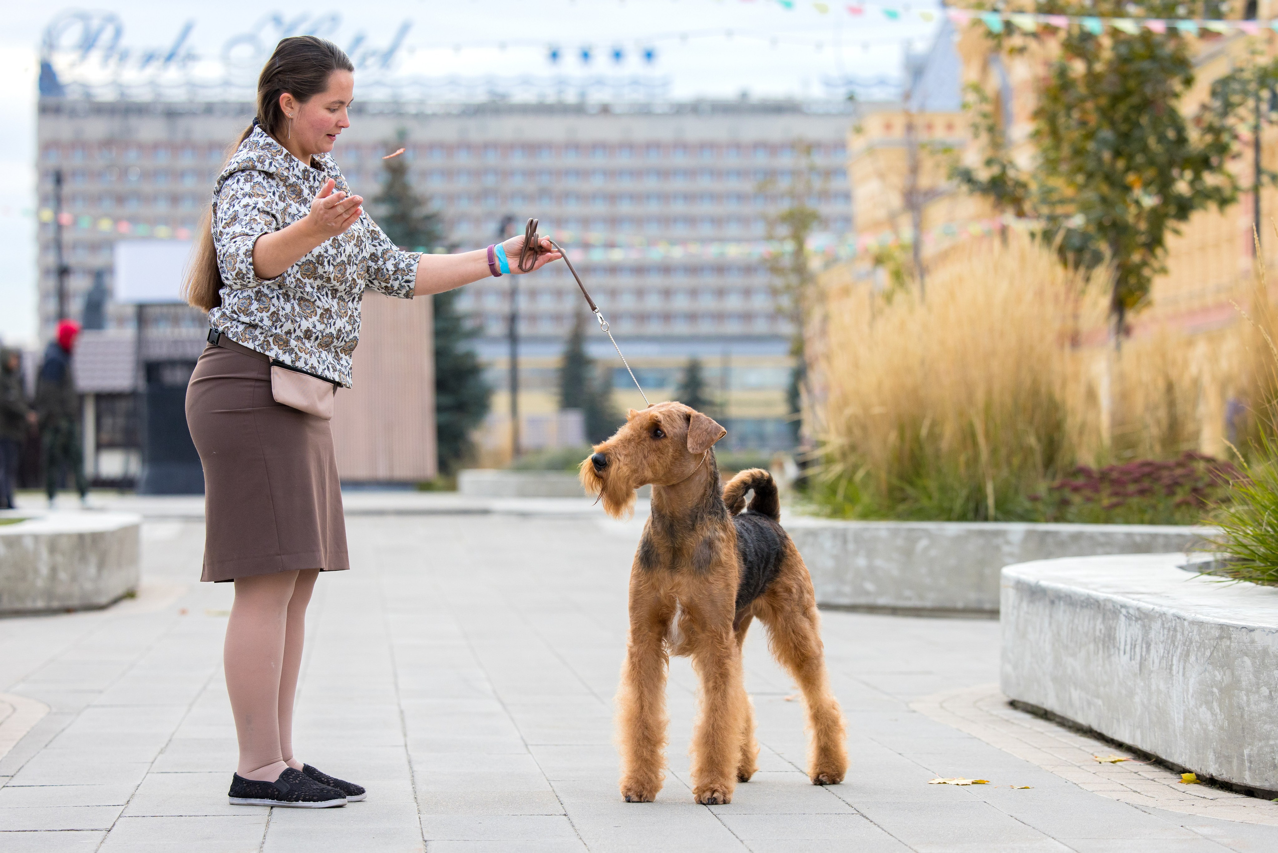 Нижний Новгород 21-22.10.2023. Фотограф-анималист Юлия Германика