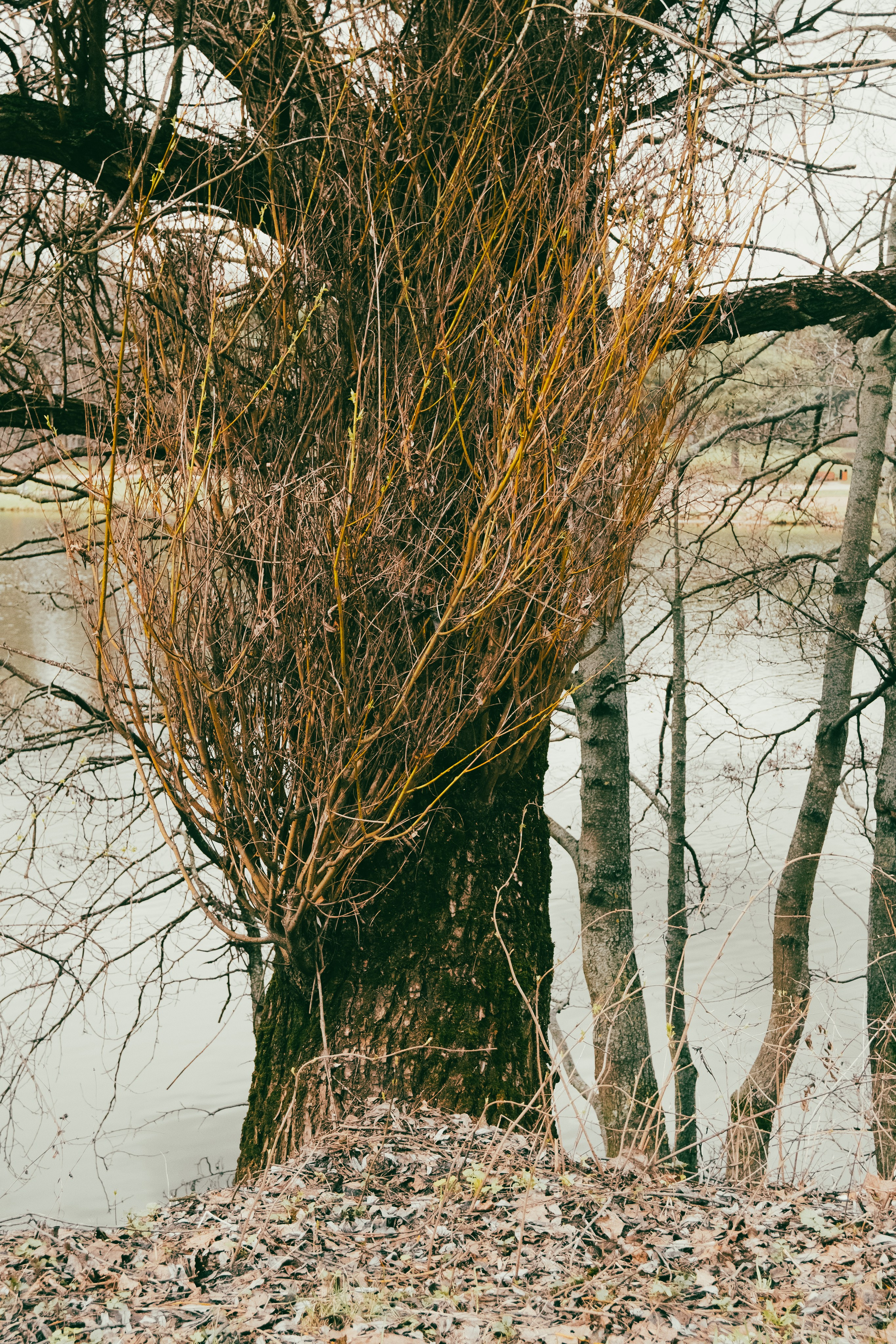 Текстуры апреля. Портретный и архитектурный фотограф в Москве и Санкт-Петербурге