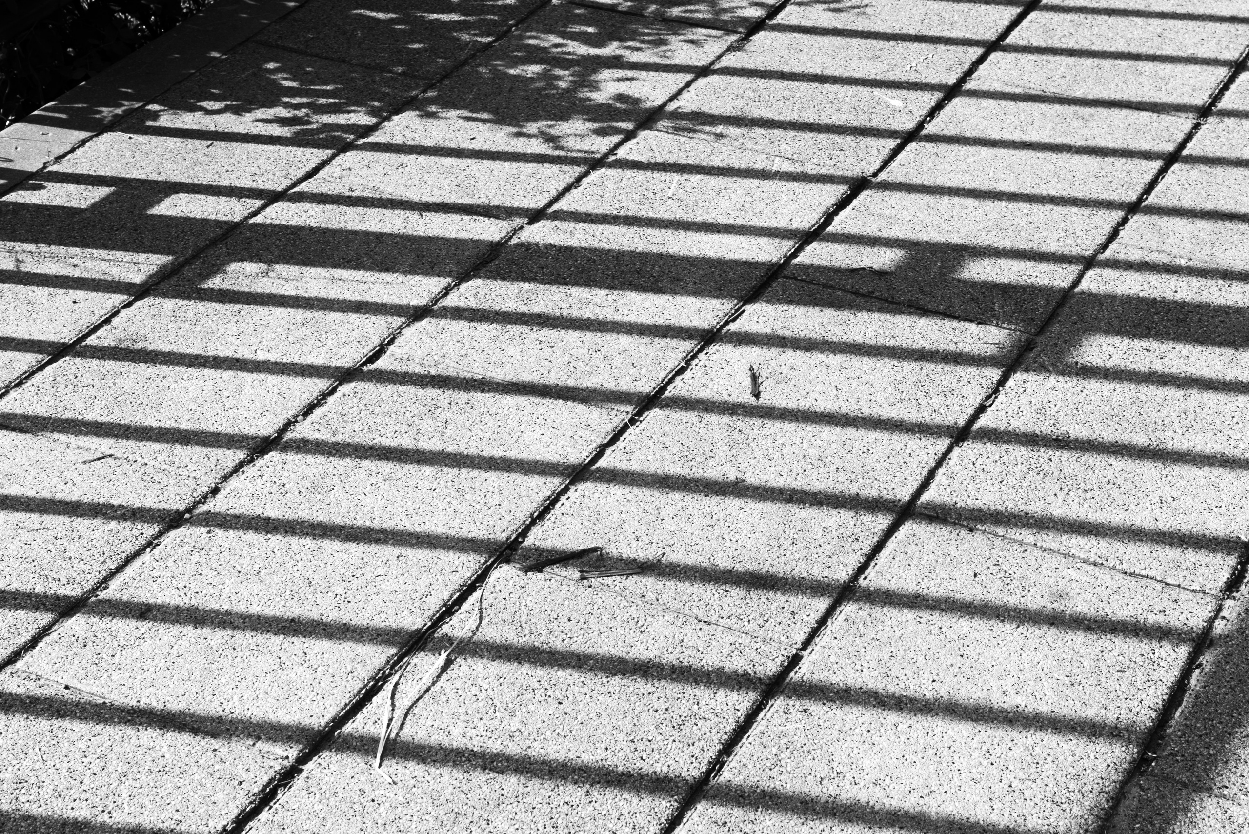 Евгения. Портретный и архитектурный фотограф в Москве и Санкт-Петербурге