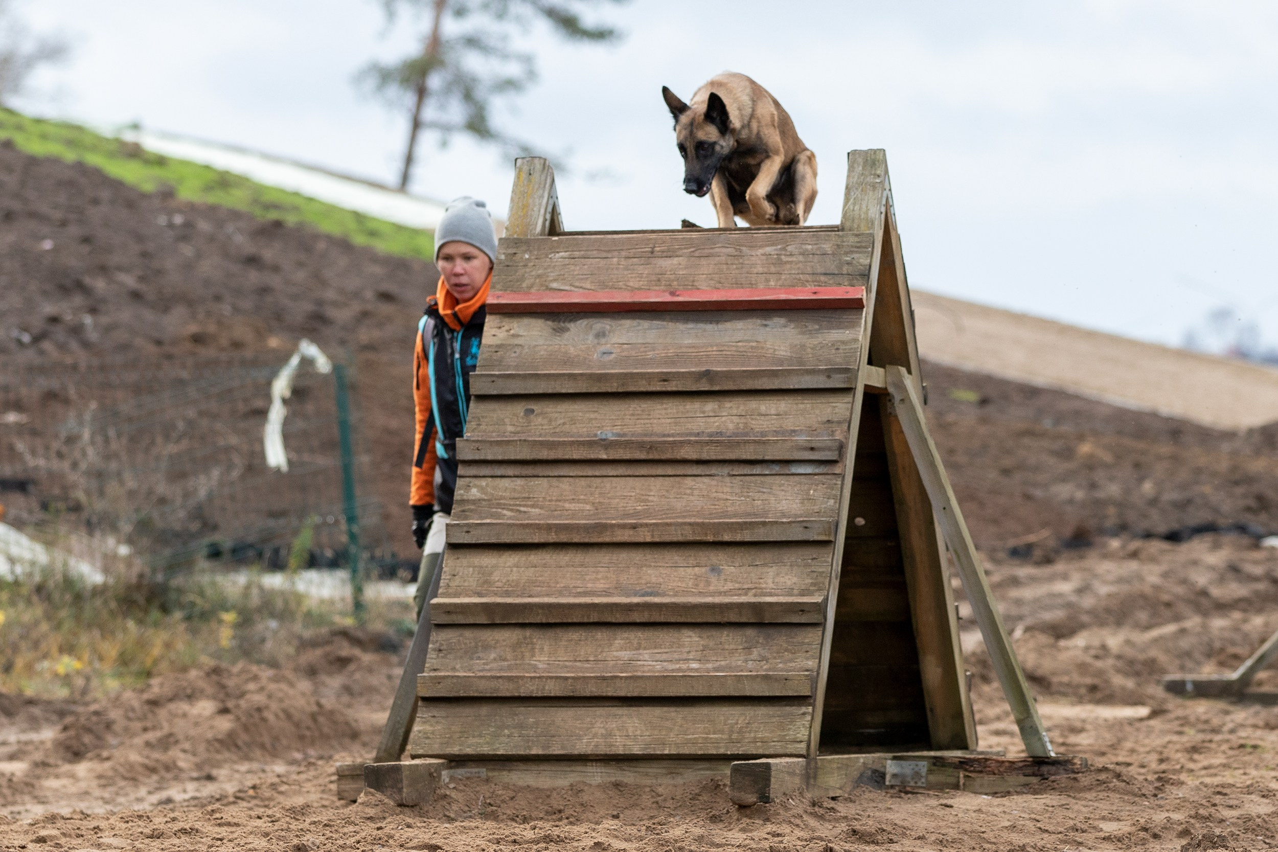 Вера и Чейз на экзамене ОКД. Фотограф-анималист в Калуге Мария Шерскова