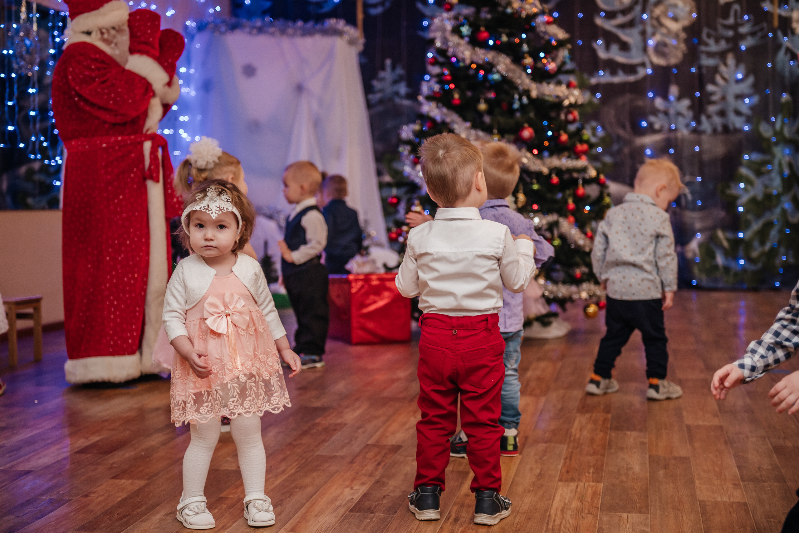 ДС № 135 «Карапузики». Свадебный и семейный фотограф в Дзержинске Екатерина Шулакова