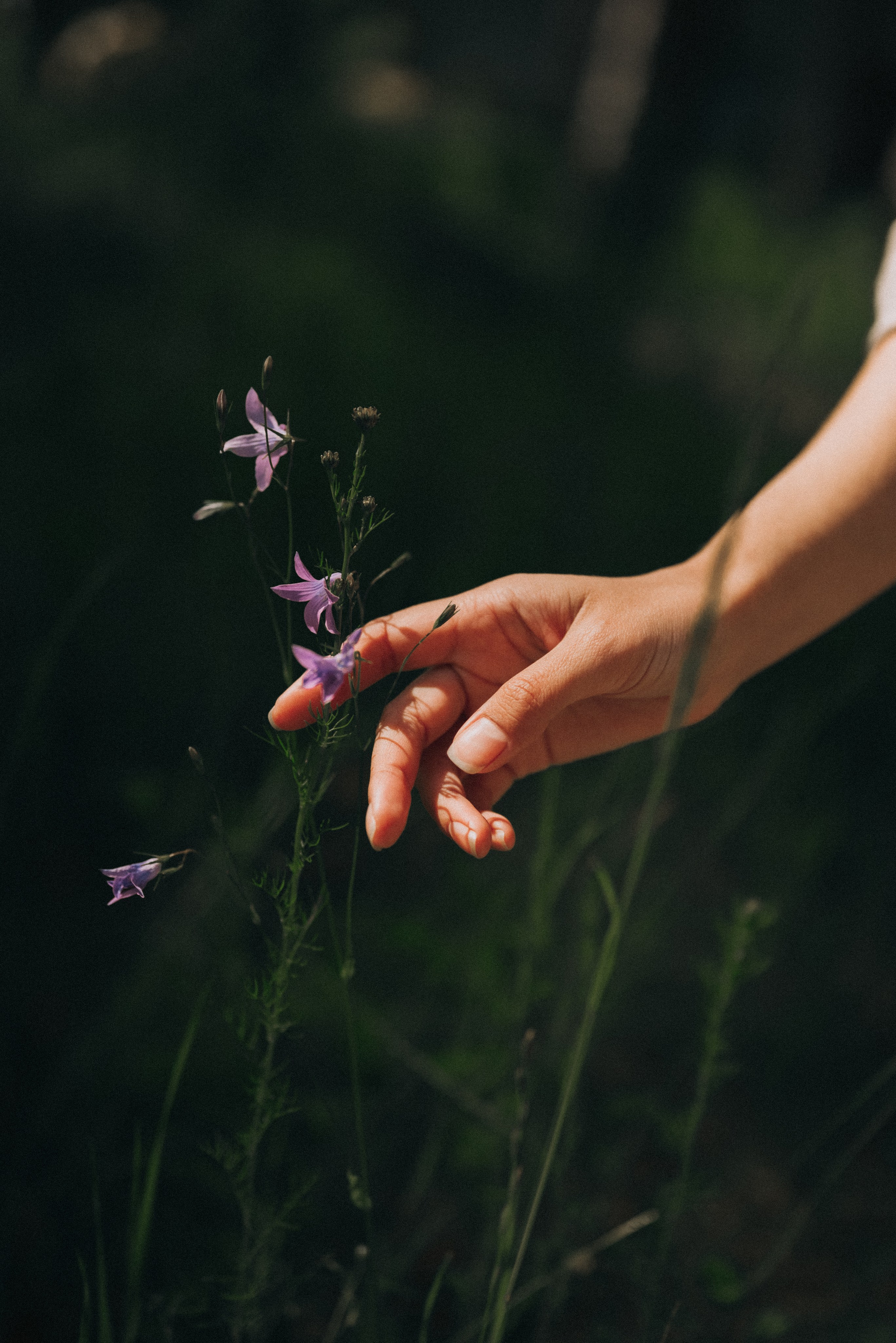 Мария. Семейный фотограф в Москве Дарья Пузикова
