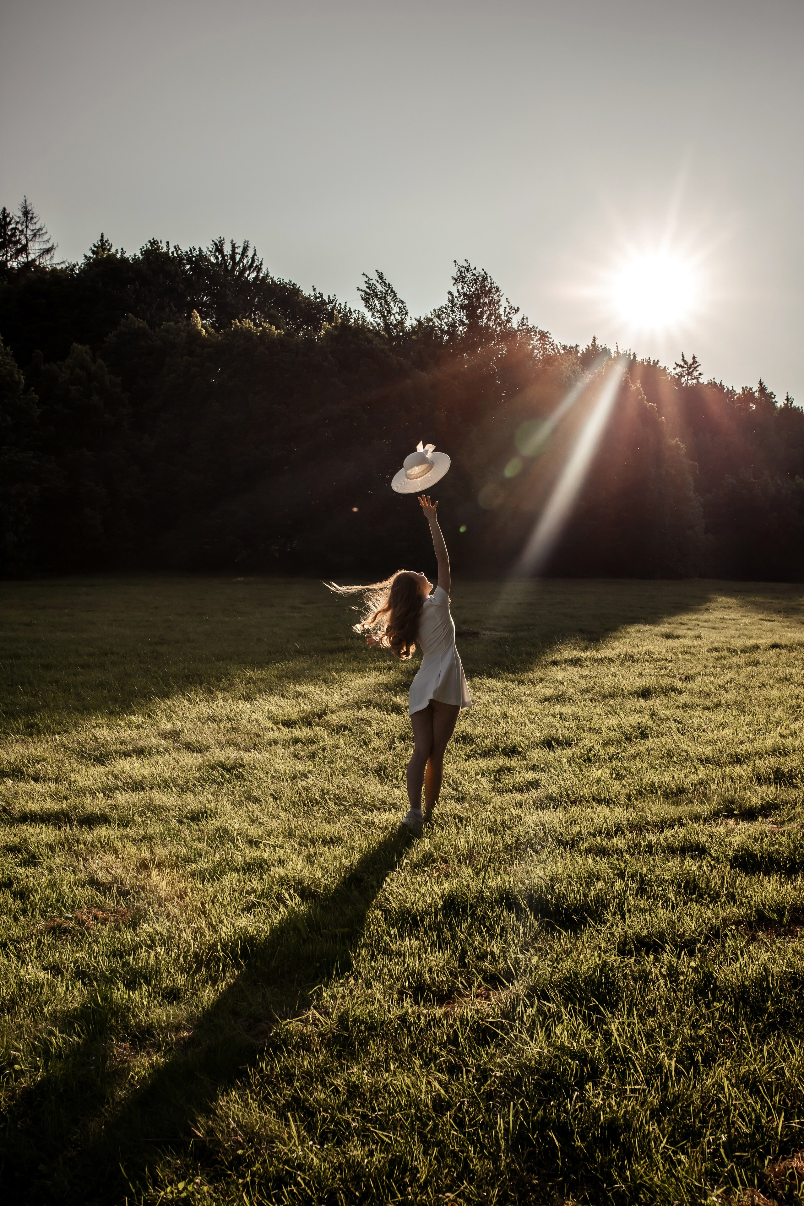 Предложение руки и сердца