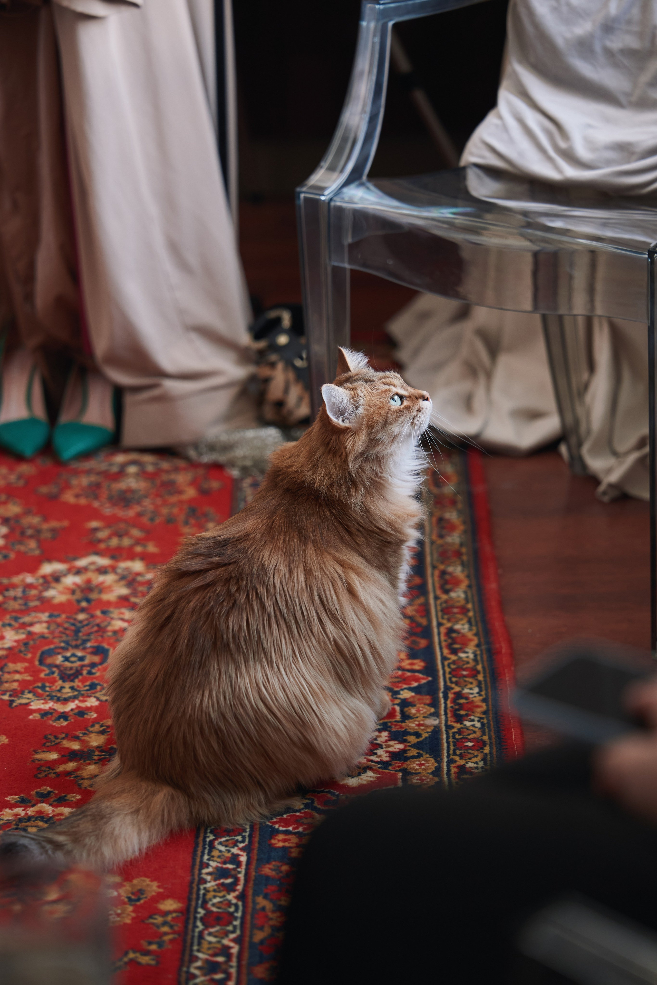 МК по имиджу. Фотограф и видеограф в Кургане Леонид Корнильев