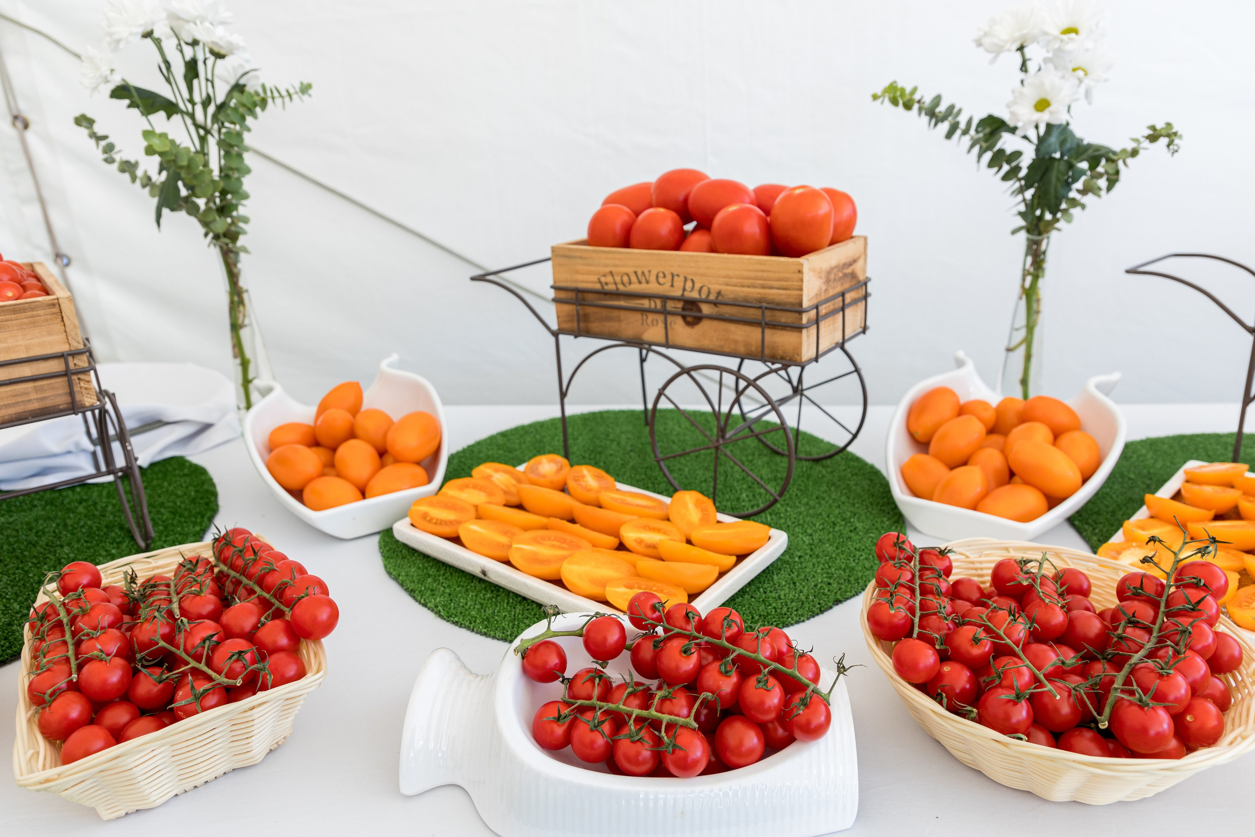 Воронеж Агро-Первый камень. Владислав Волков | Фотография и видеосъемка в Воронеже