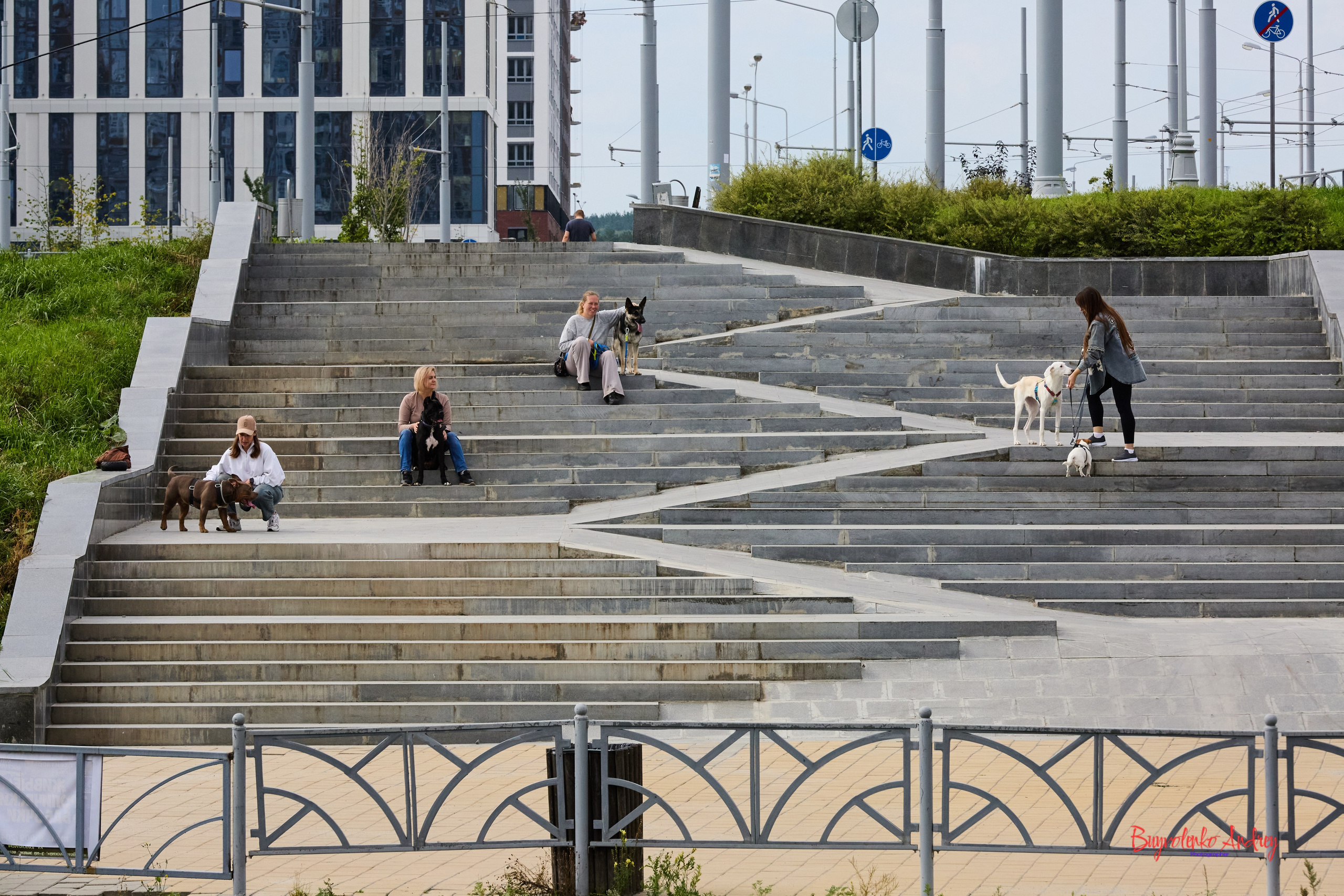 Проект фотопрогулка с хвостиком. Buyvolenko Andrey