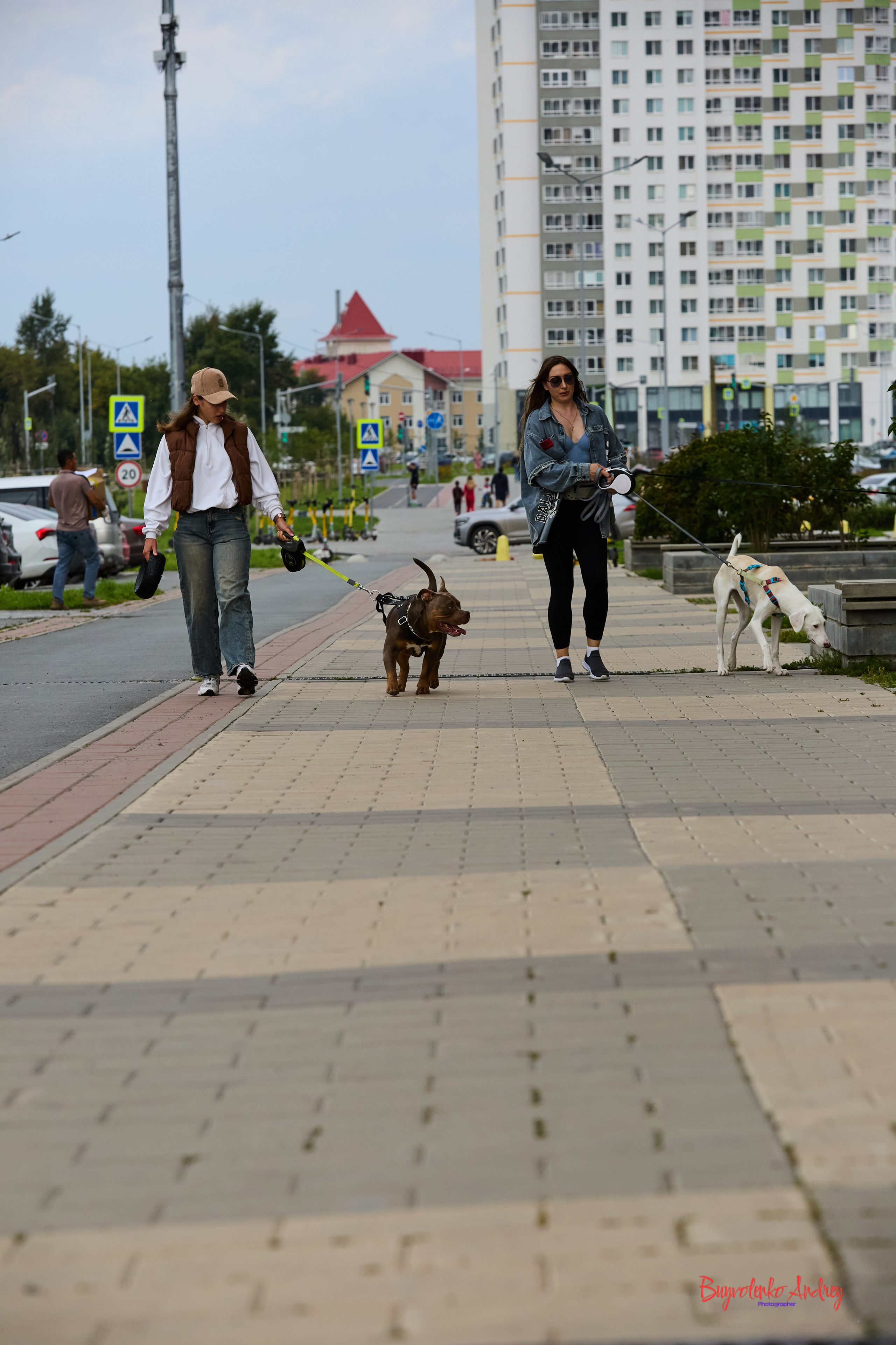 Проект фотопрогулка с хвостиком. Buyvolenko Andrey