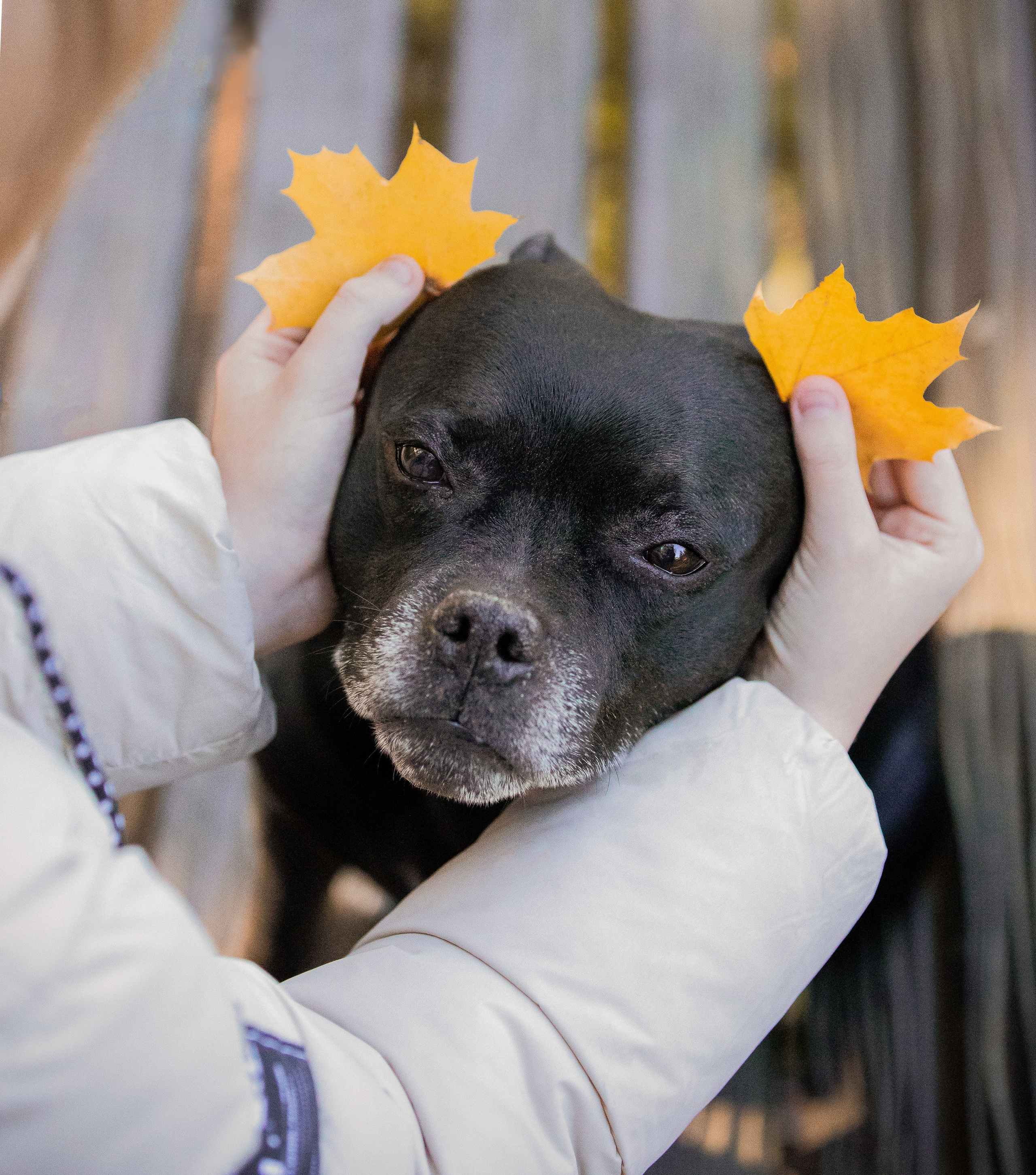Владимир, Мария и Кох. Фотограф-анималист Смирнова Клеопатра|Москва