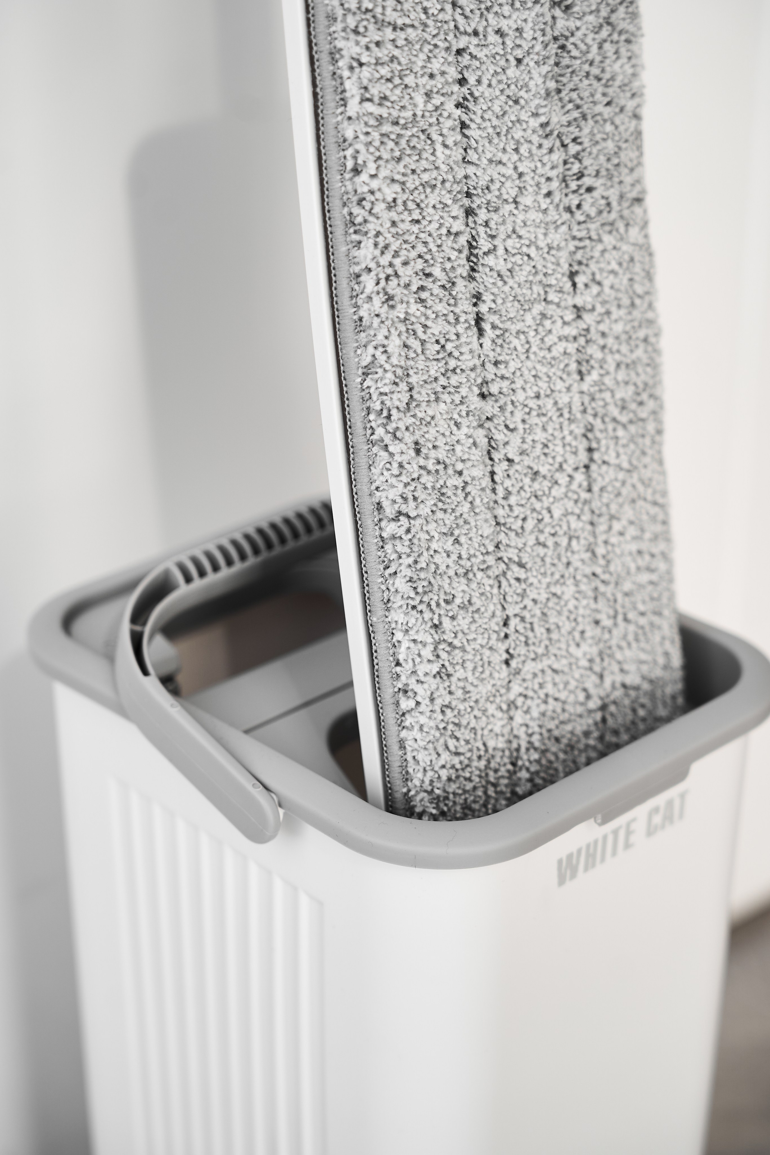 White cat. Фотограф в Москве Казакова Анна