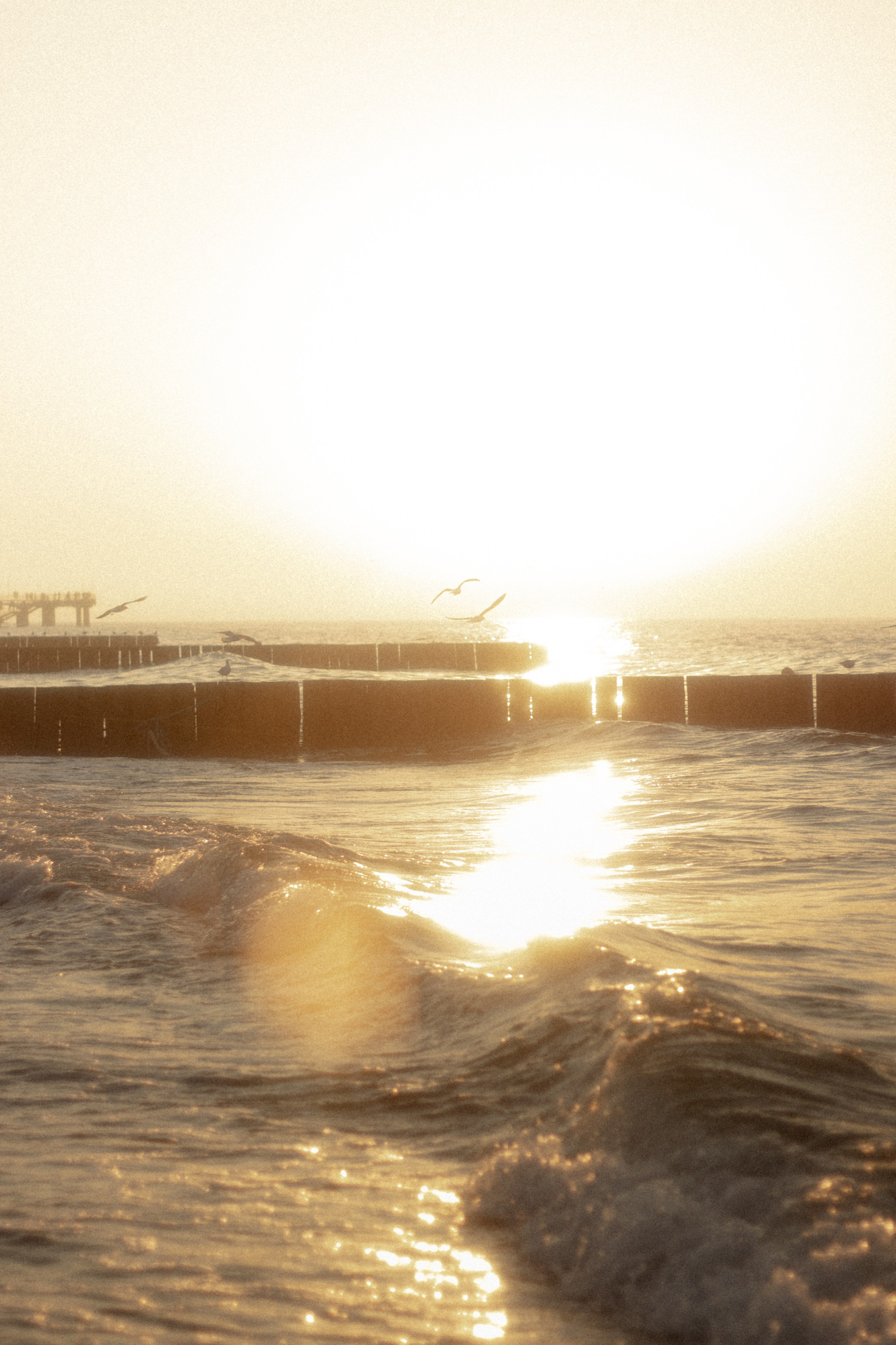 Фотосессия в Зеленоградске. Портретный фотограф в Калининграде Рита Холодова