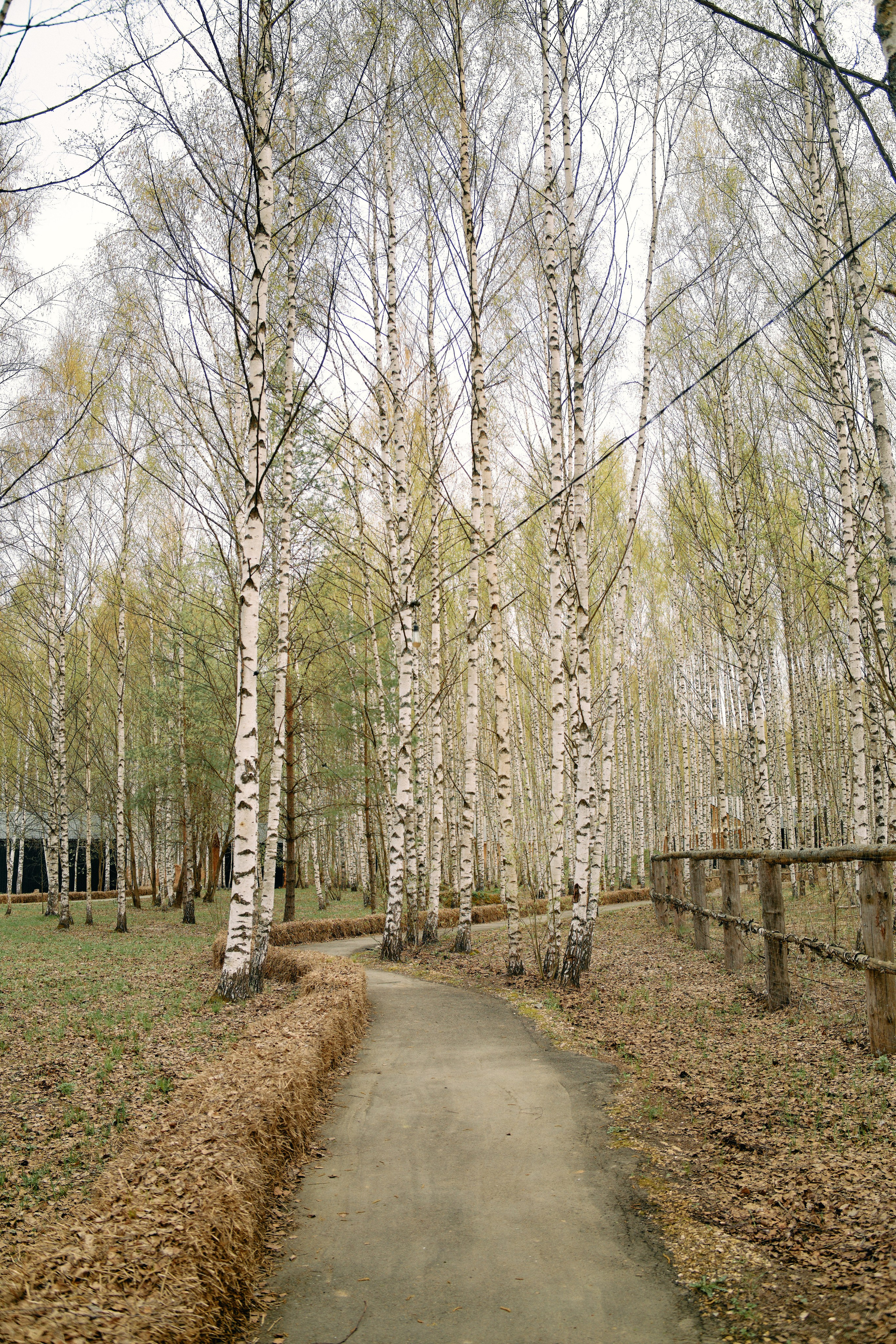 Бутик-отель Поле летом. Профессиональный Фотограф во Владимире, в Москве и в Суздале — Полина Романычева