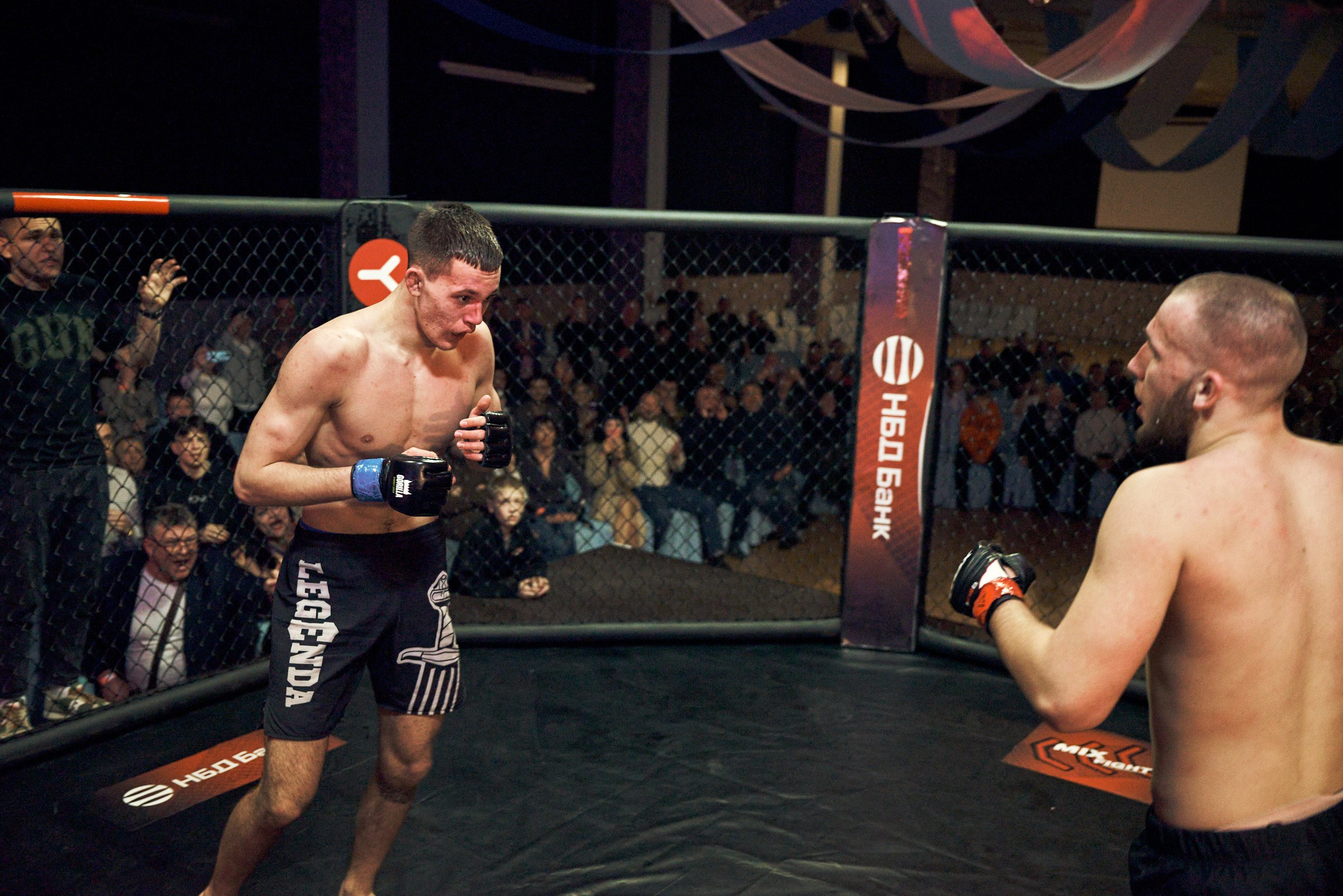 Бои. Маляревич Дмитрий свадебный фотограф