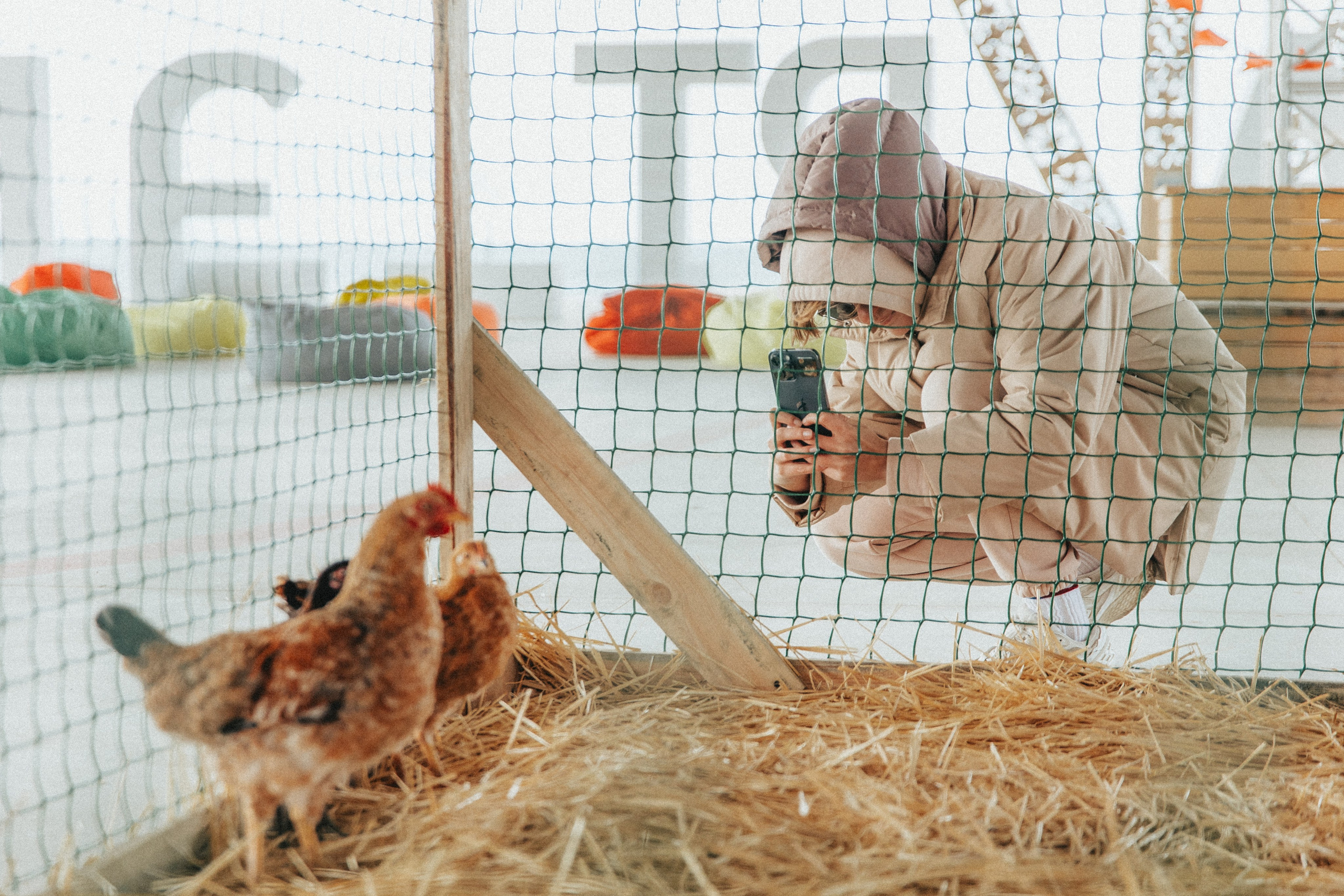 Зеленый фестиваль в Крыму. Izotoff Photographer