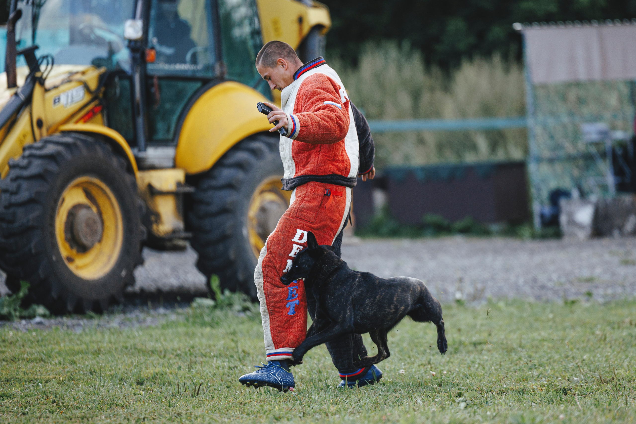 08.08.25-10.08.25 ЧР по мондьорингу г. Вологда. Фотограф-анималист Анна Маринич