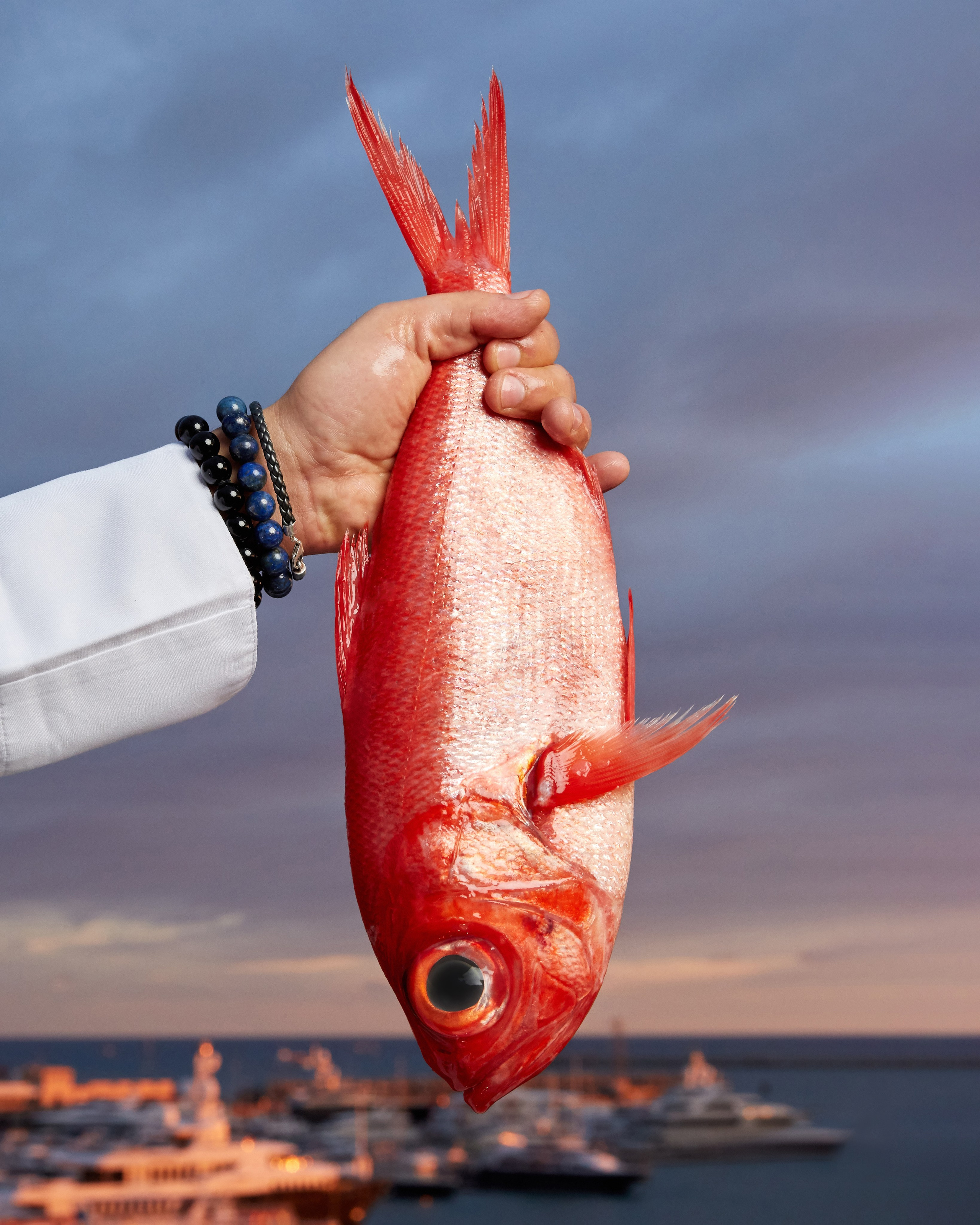 Азиз Саффар. Главная