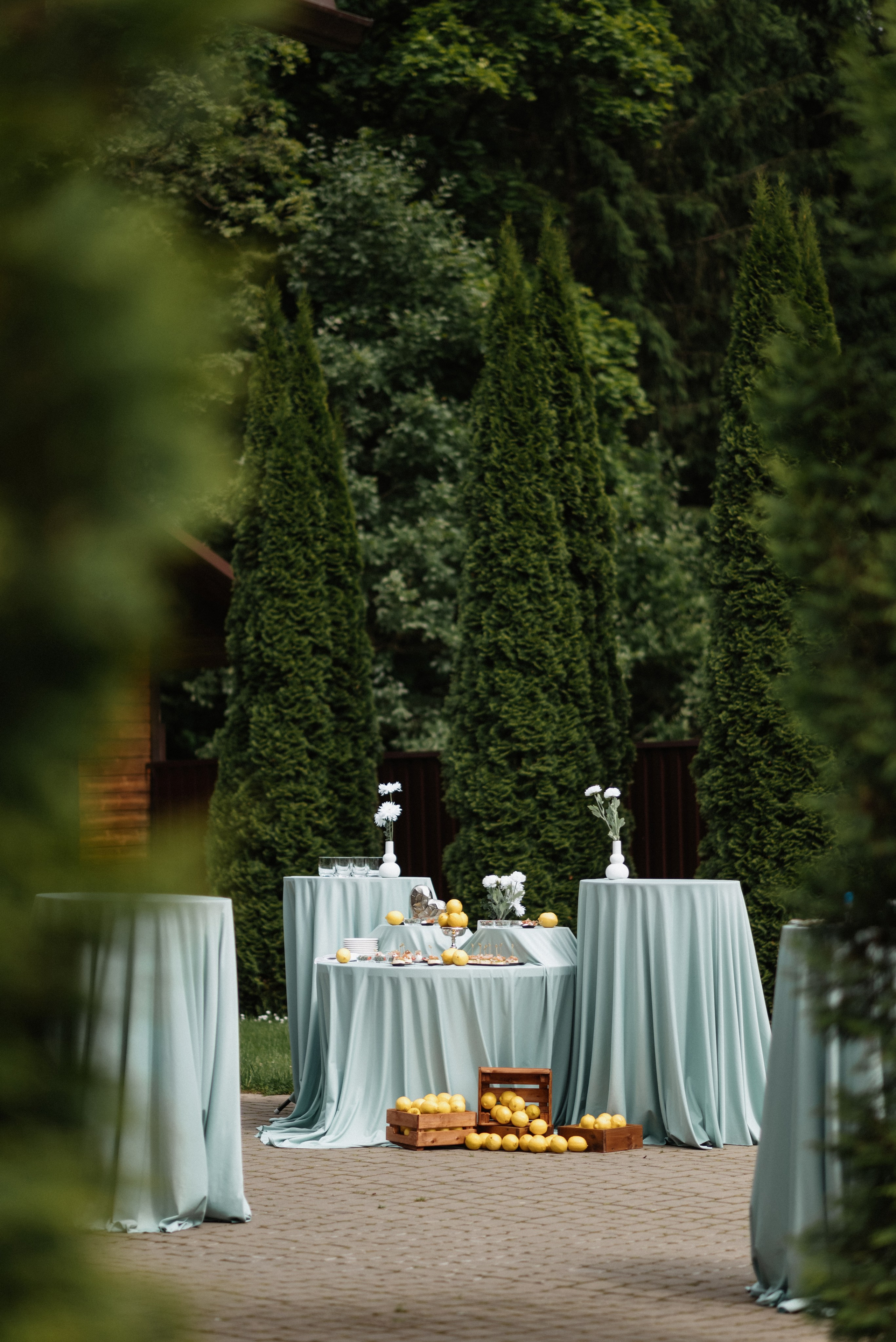 Александра и Андрей. Свадебный и портретный фотограф в Минске Татьяна Лобода