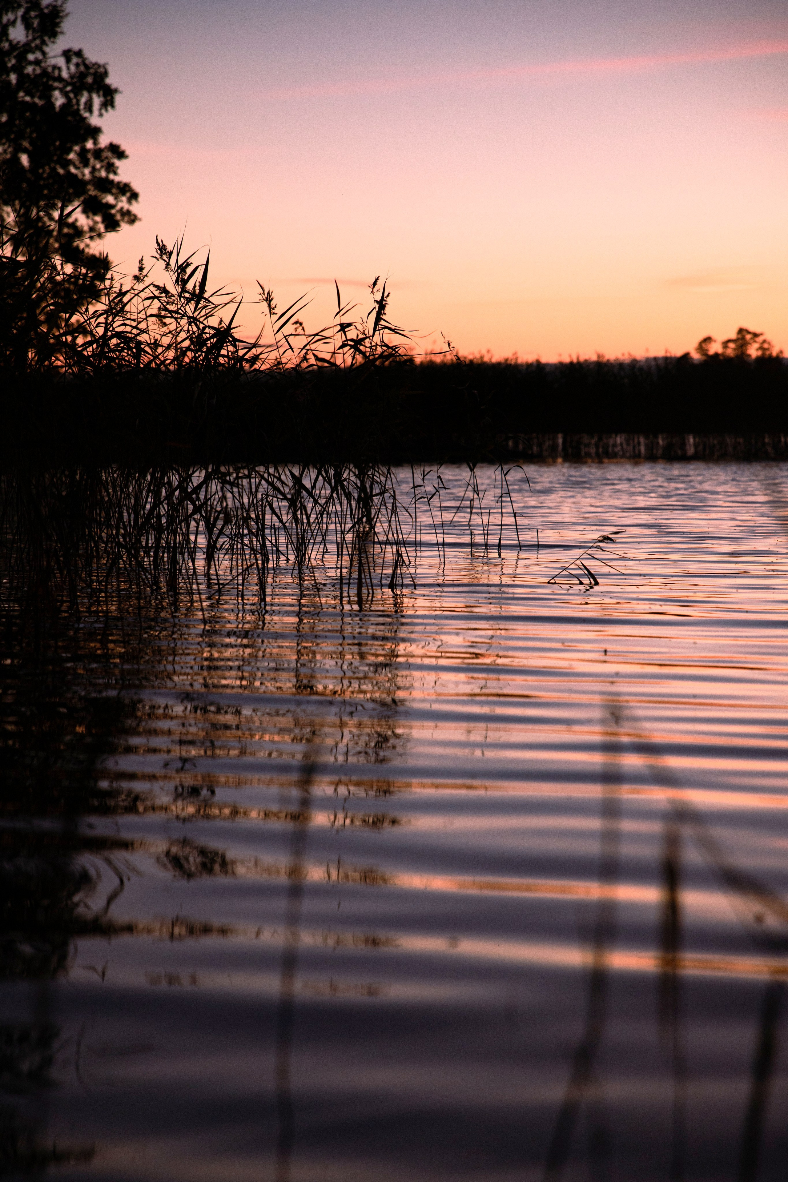 Вуокса. Фотограф Алексей Шуля — портфолио