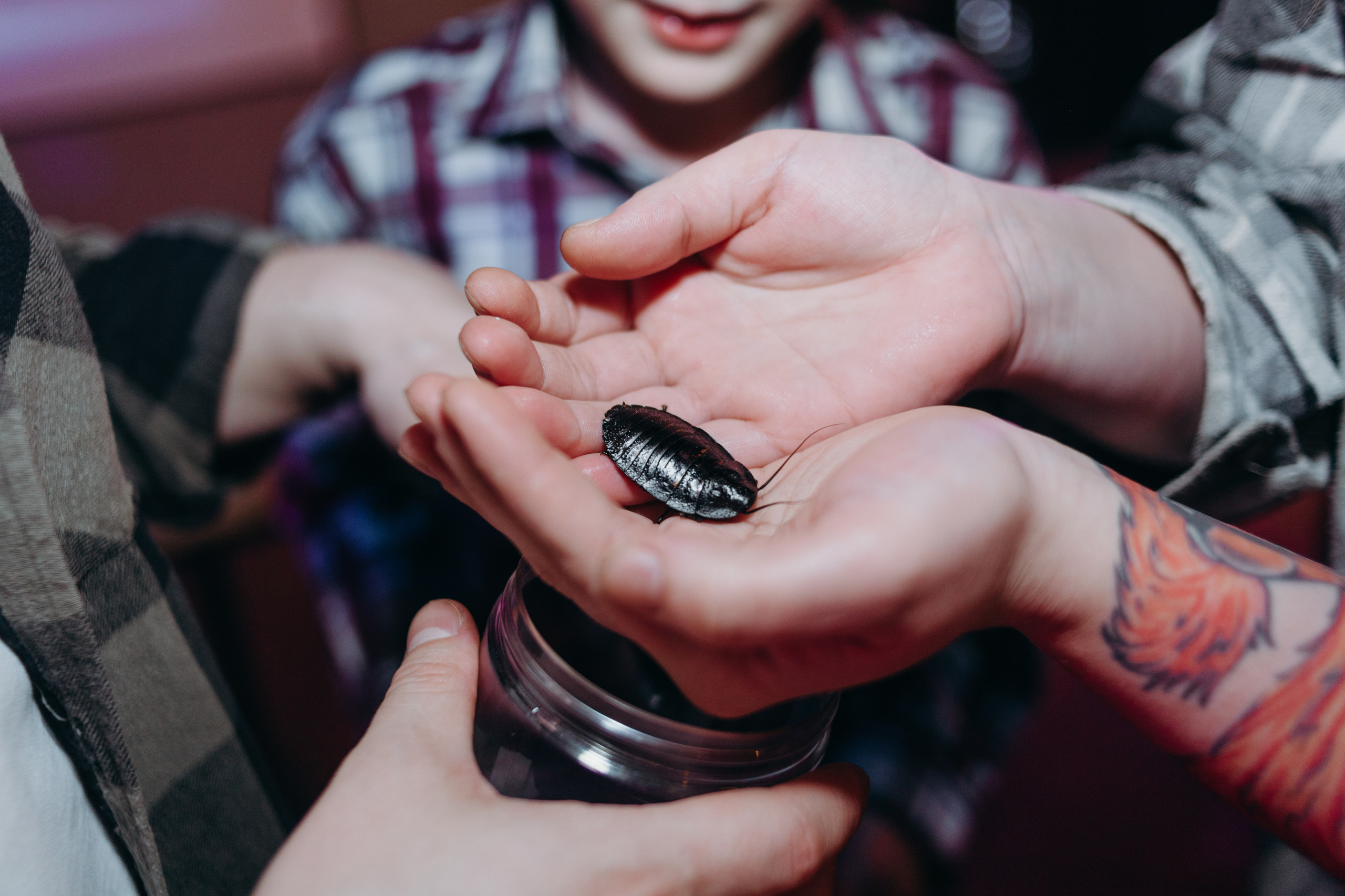 Еве 10 лет. Семейный фотограф во Всеволожске и Санкт-Петербурге Юлия Капустина