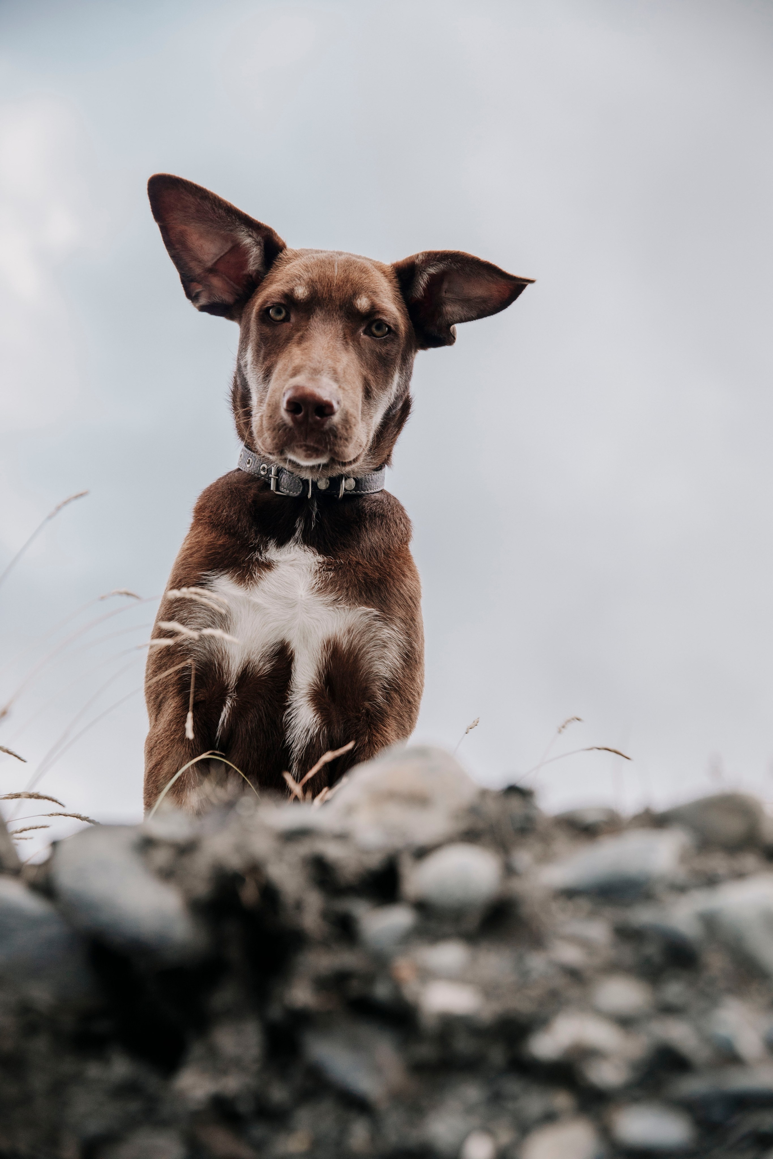 Love story / Семейные