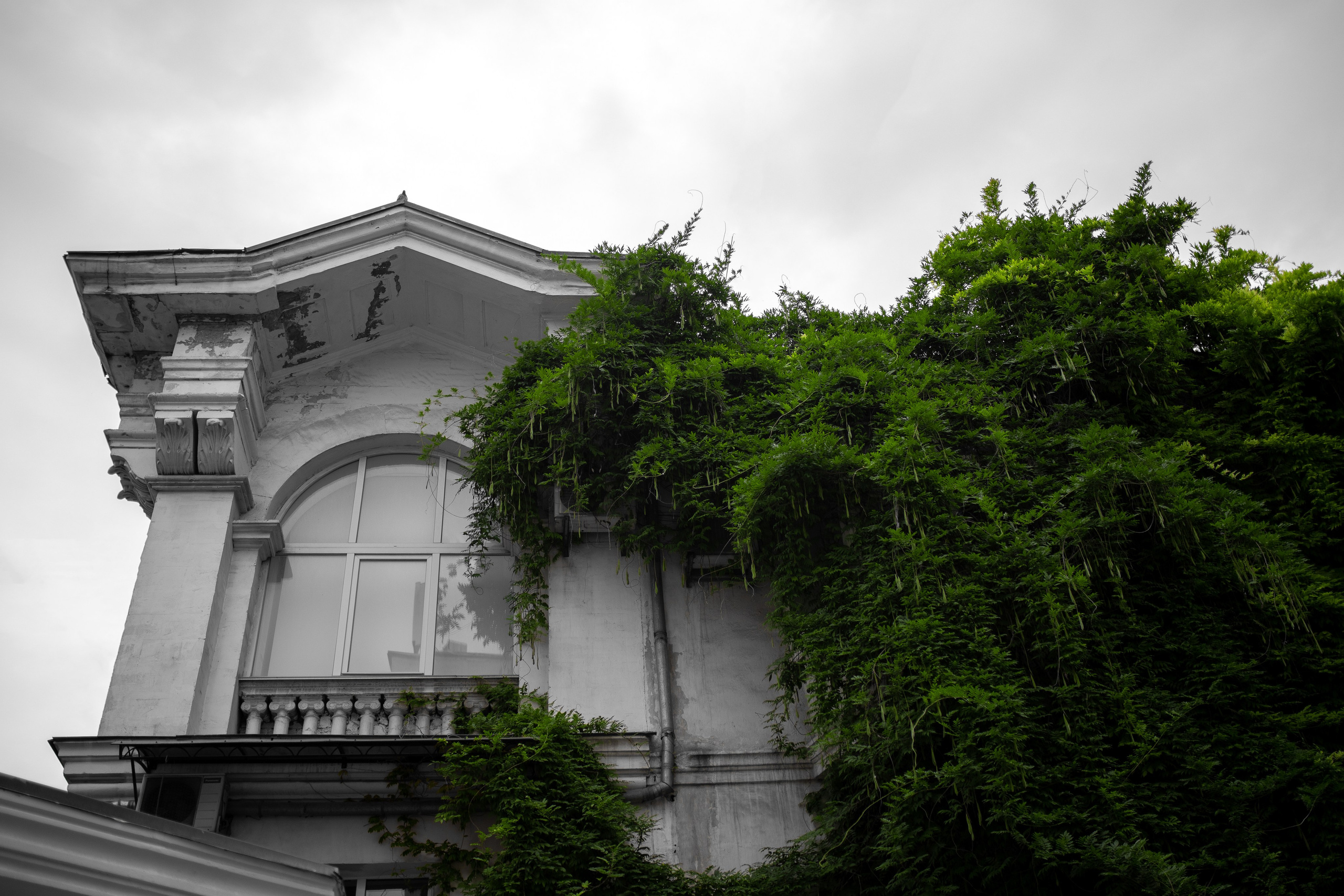 ЧЕРНО-БЕЛЫЕ ФОТОГРАФИИ. Никита Аничкин фото и видео оператор из России