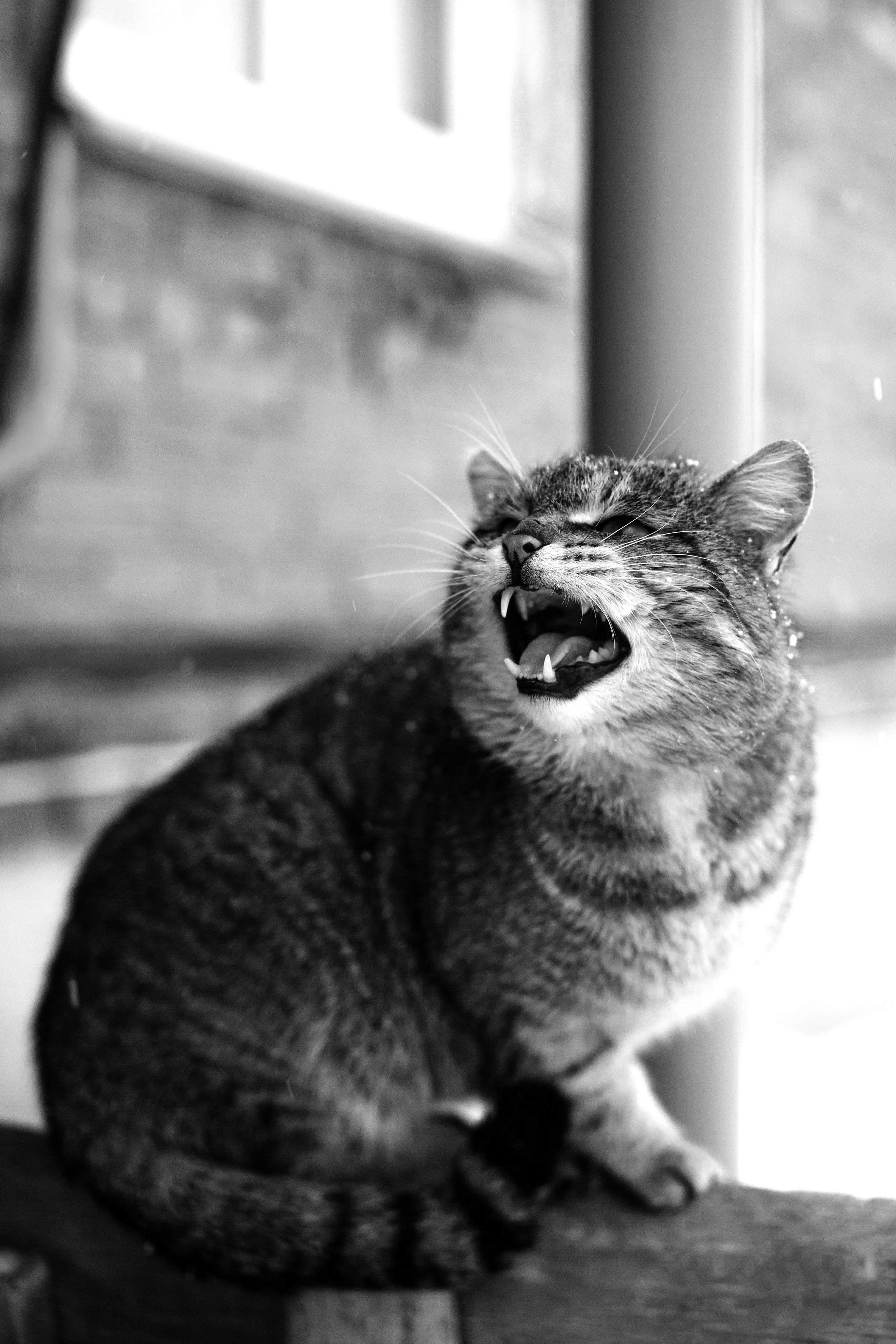 ЧЕРНО-БЕЛЫЕ ФОТОГРАФИИ. Никита Аничкин фото и видео оператор из России