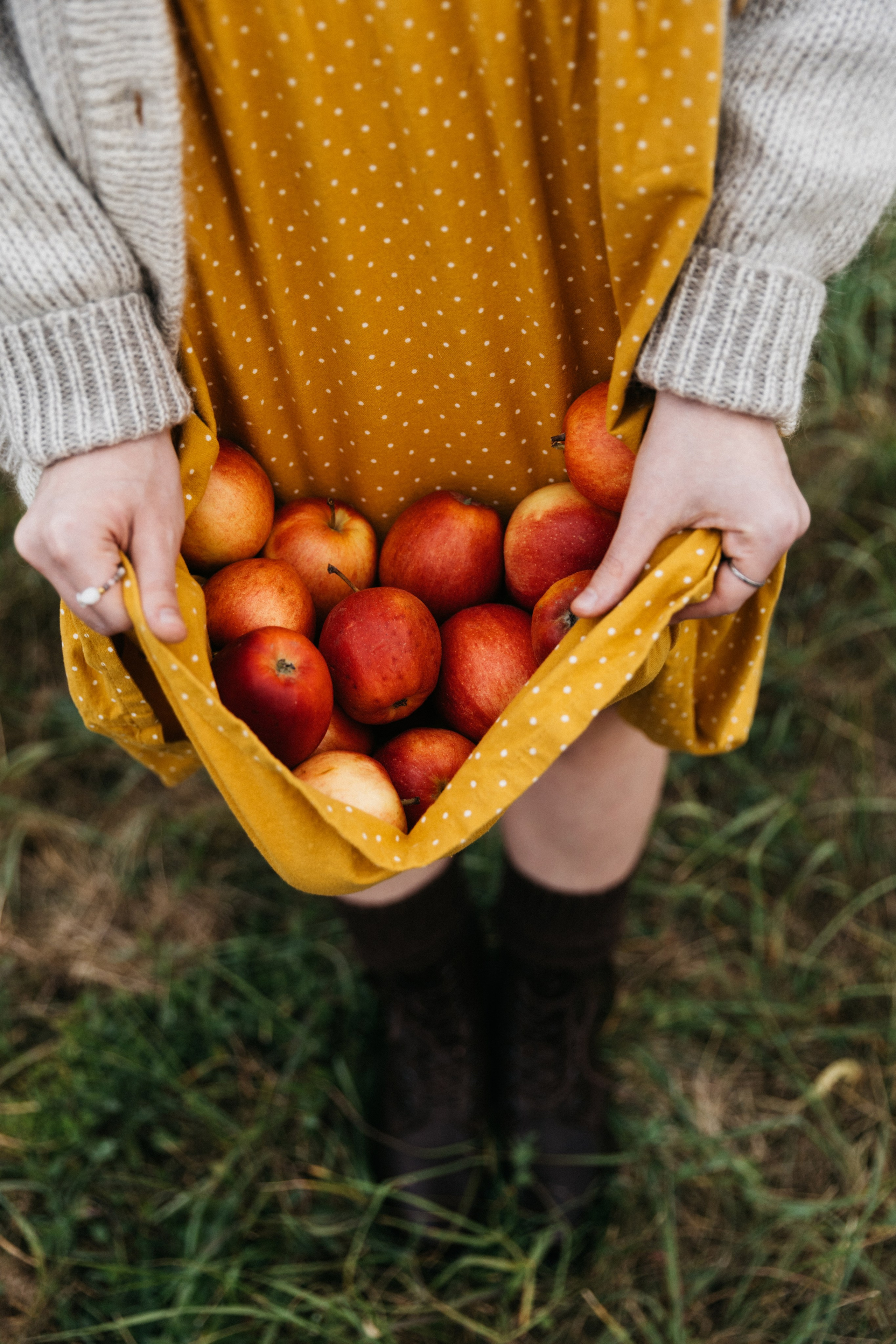 Осенний пикник. Женский и семейный фотограф в Туле Катя Вуколова