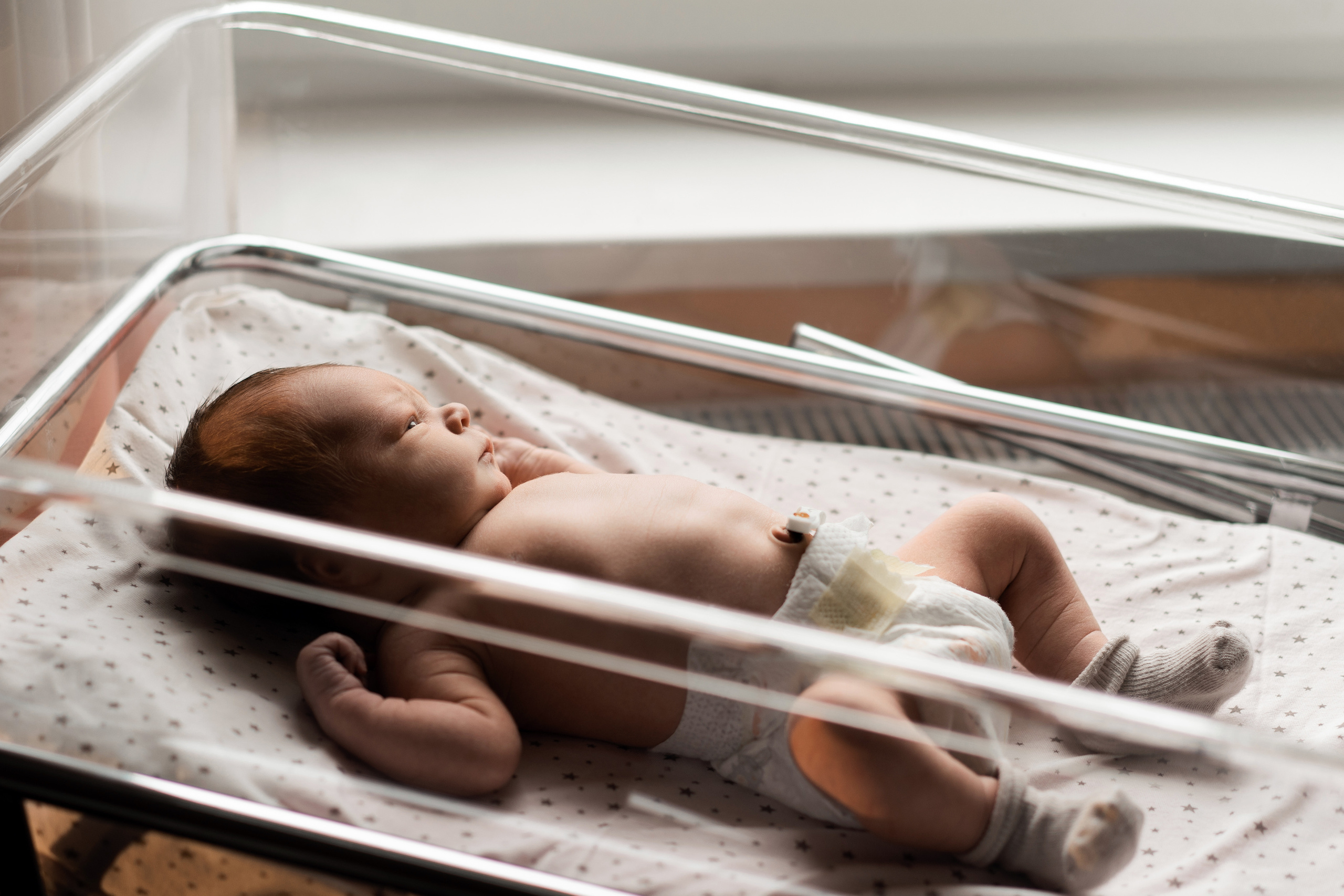 Выписка Тимофея. Семейный и детский фотограф в Санкт-Петербурге Дарина Герчиу