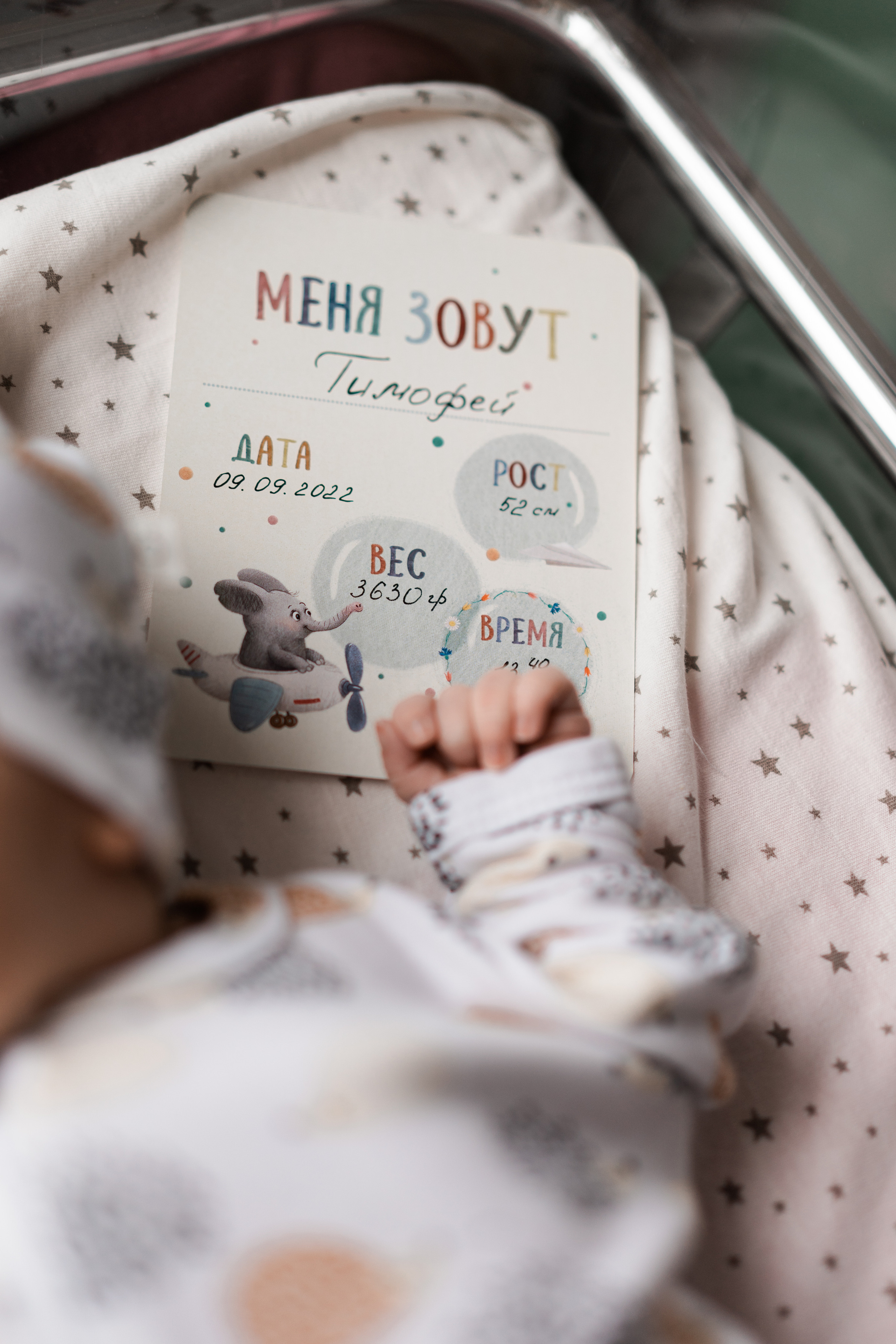 Выписка Тимофея. Семейный и детский фотограф в Санкт-Петербурге Дарина Герчиу