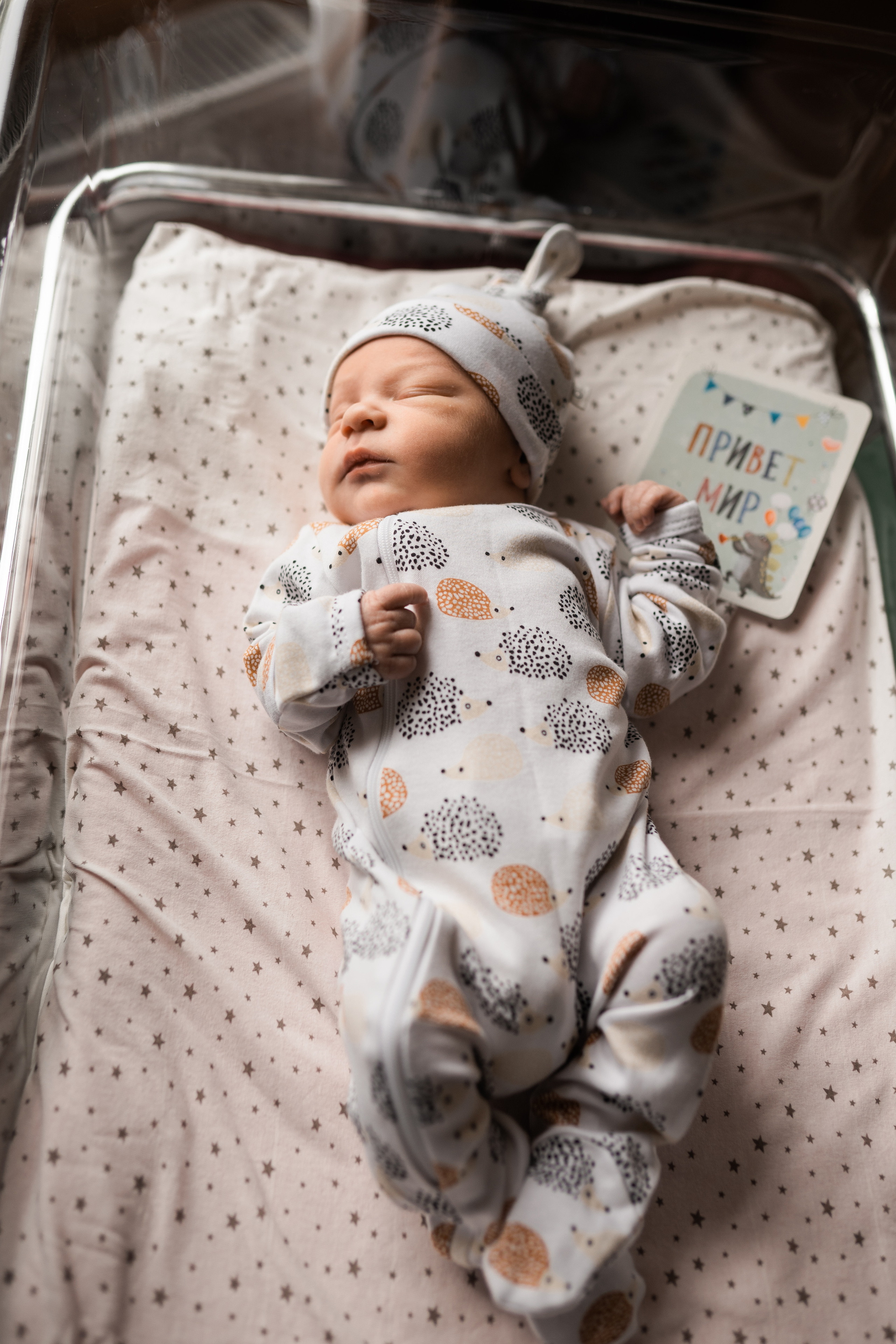 Выписка Тимофея. Семейный и детский фотограф в Санкт-Петербурге Дарина Герчиу