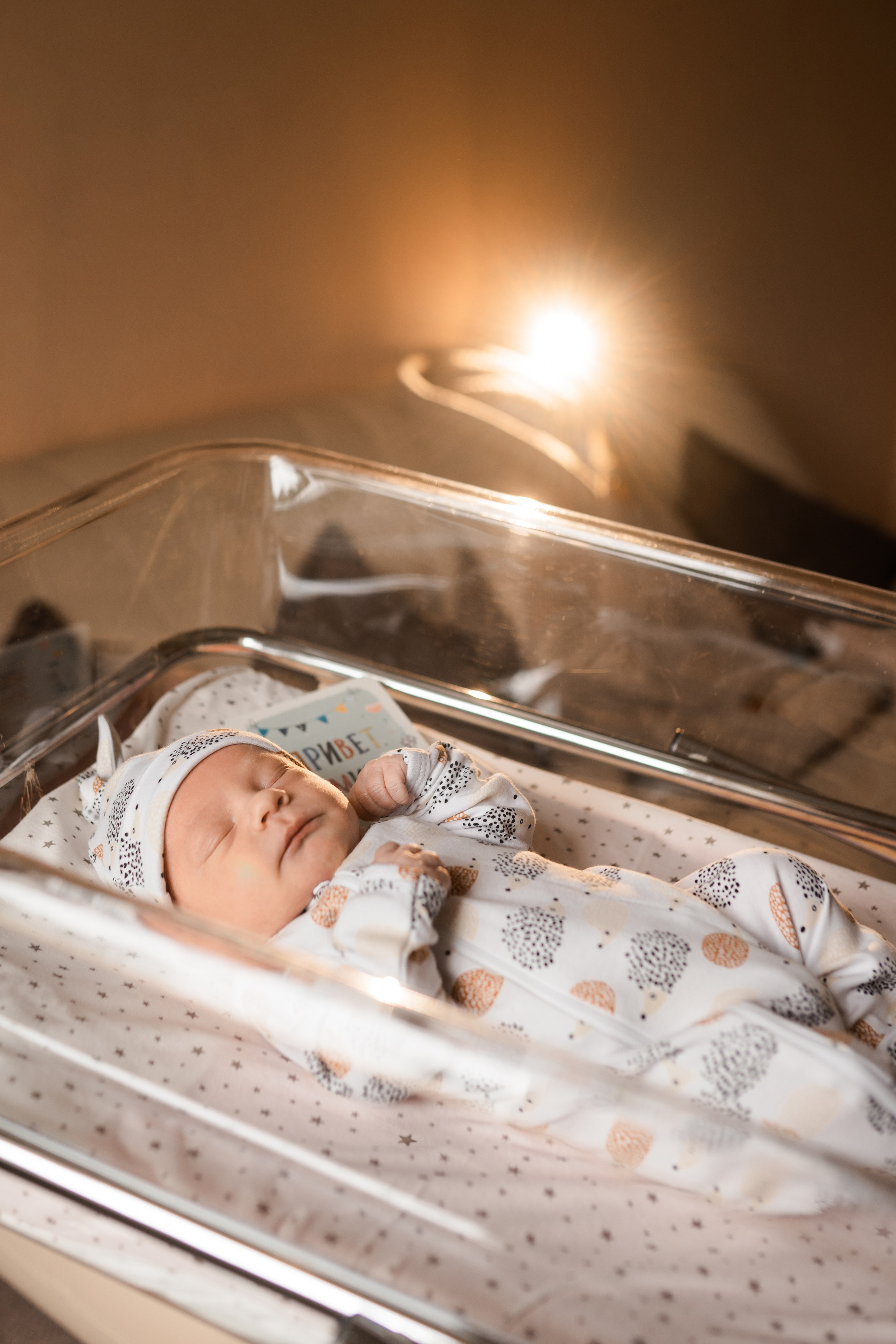 Выписка Тимофея. Семейный и детский фотограф в Санкт-Петербурге Дарина Герчиу