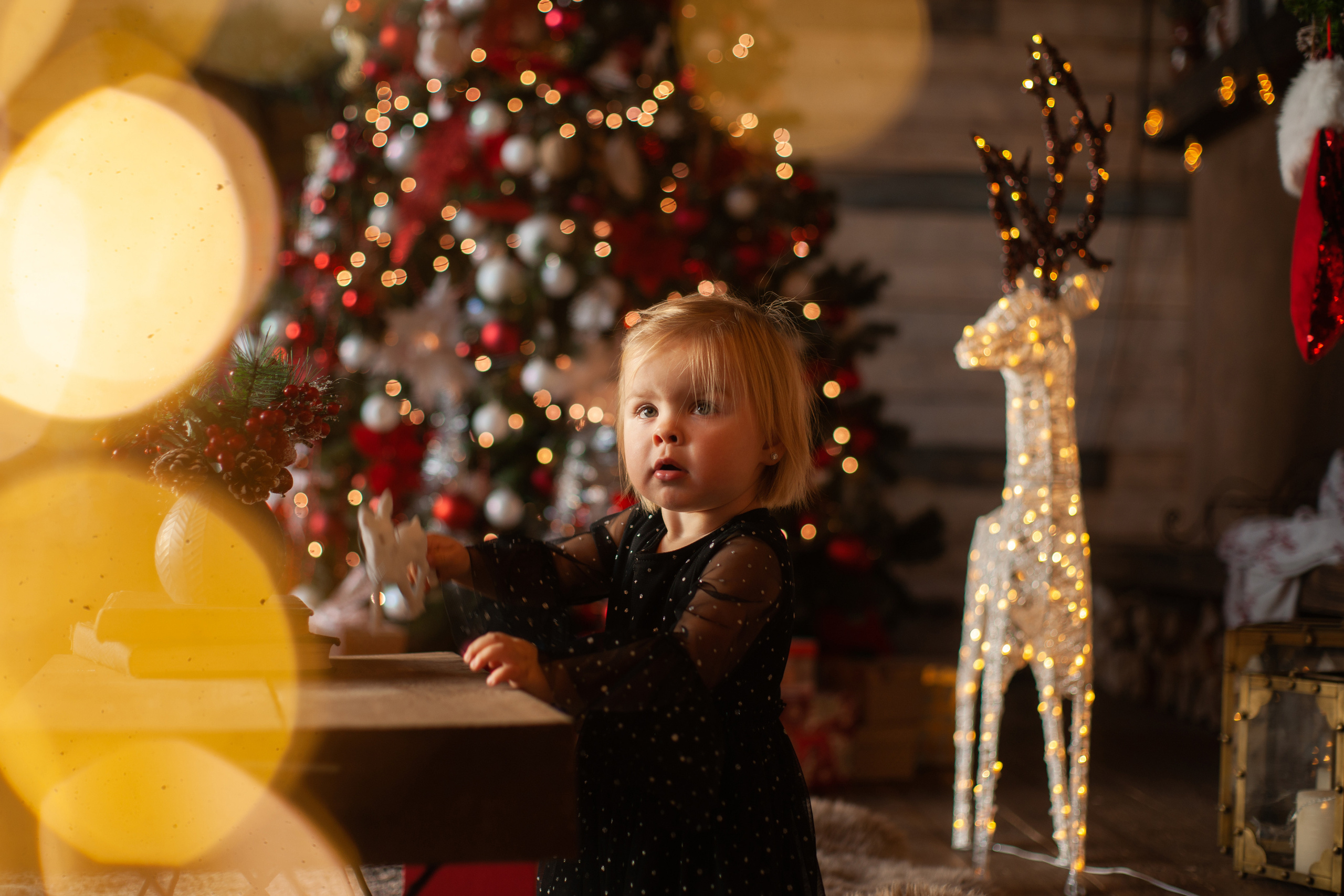 Екатерина Бэверли. Семейный и детский фотограф в Санкт-Петербурге Дарина Герчиу