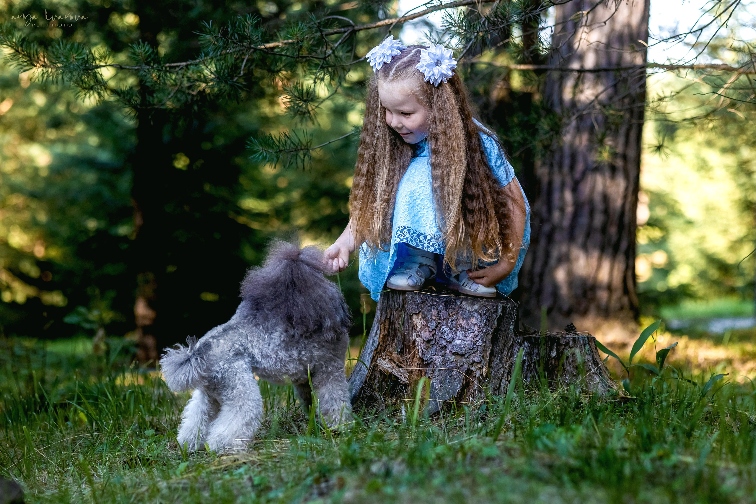 Дёмино. Фотограф анималист Аня Ливанова | Рыбинск