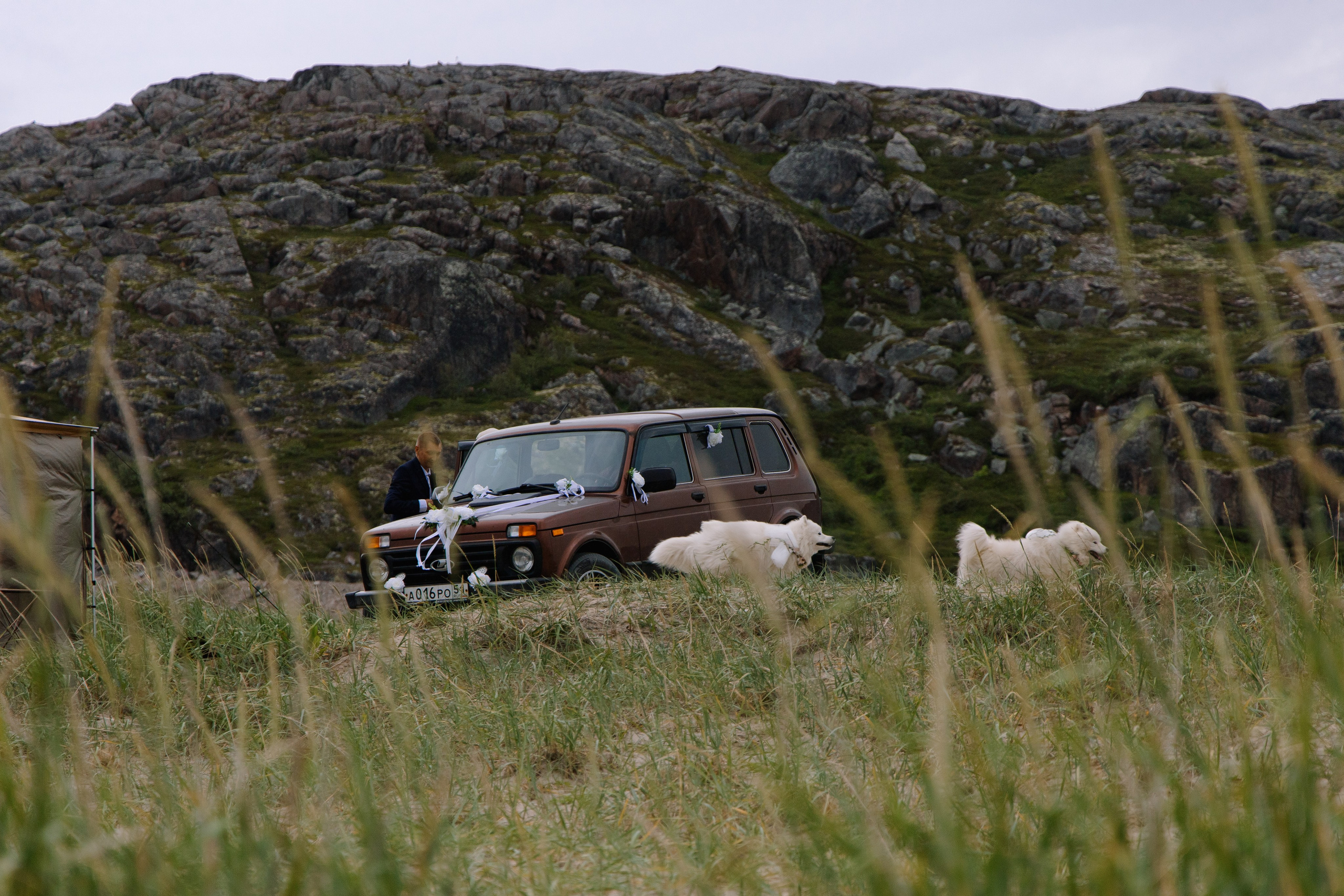 Свадьба в Териберке. Фотограф и видеограф в Мурманске, Москве Екатерина Нечаева