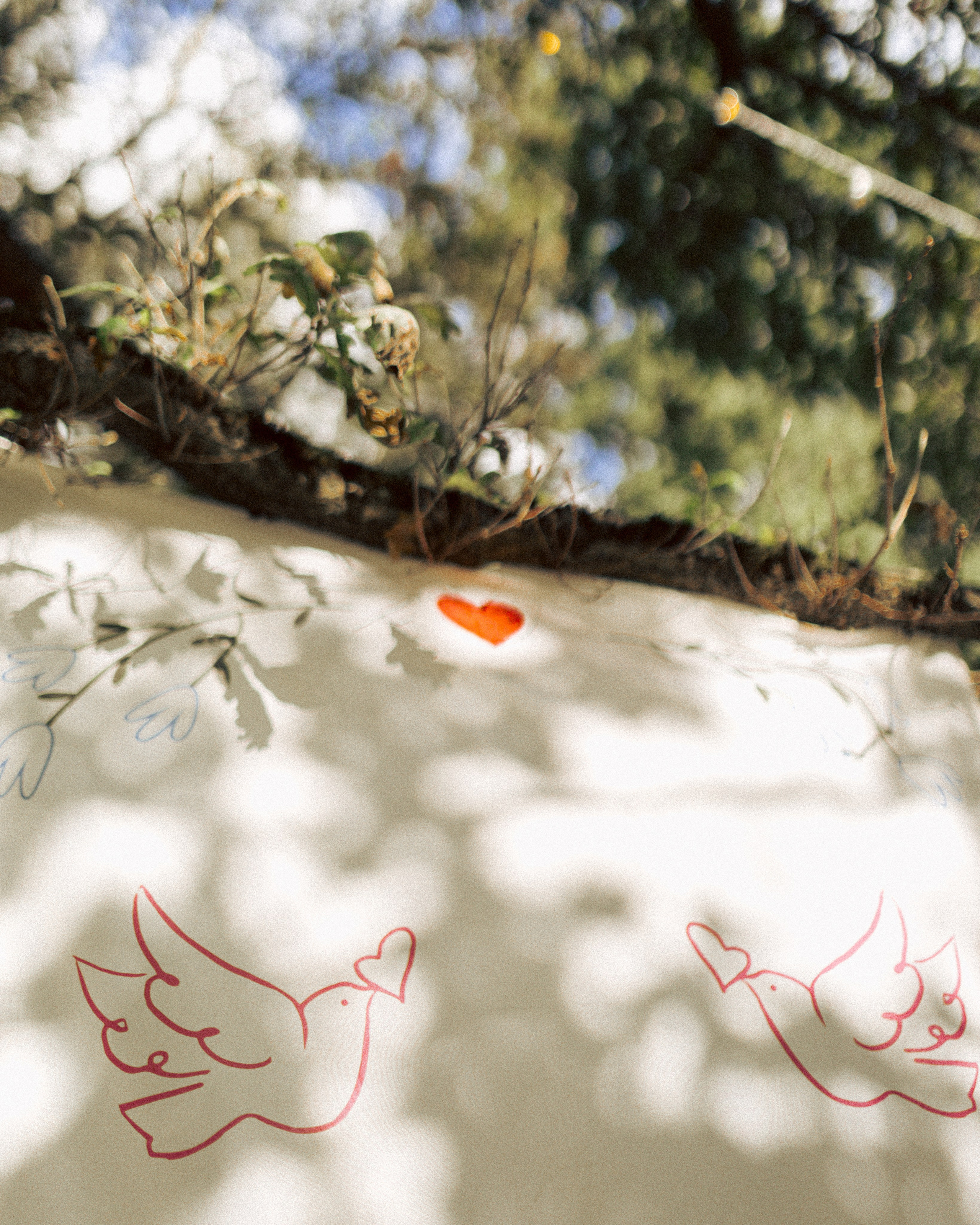 Боря и Амина. Свадебный и портретный фотограф в Москве Анна Плавская