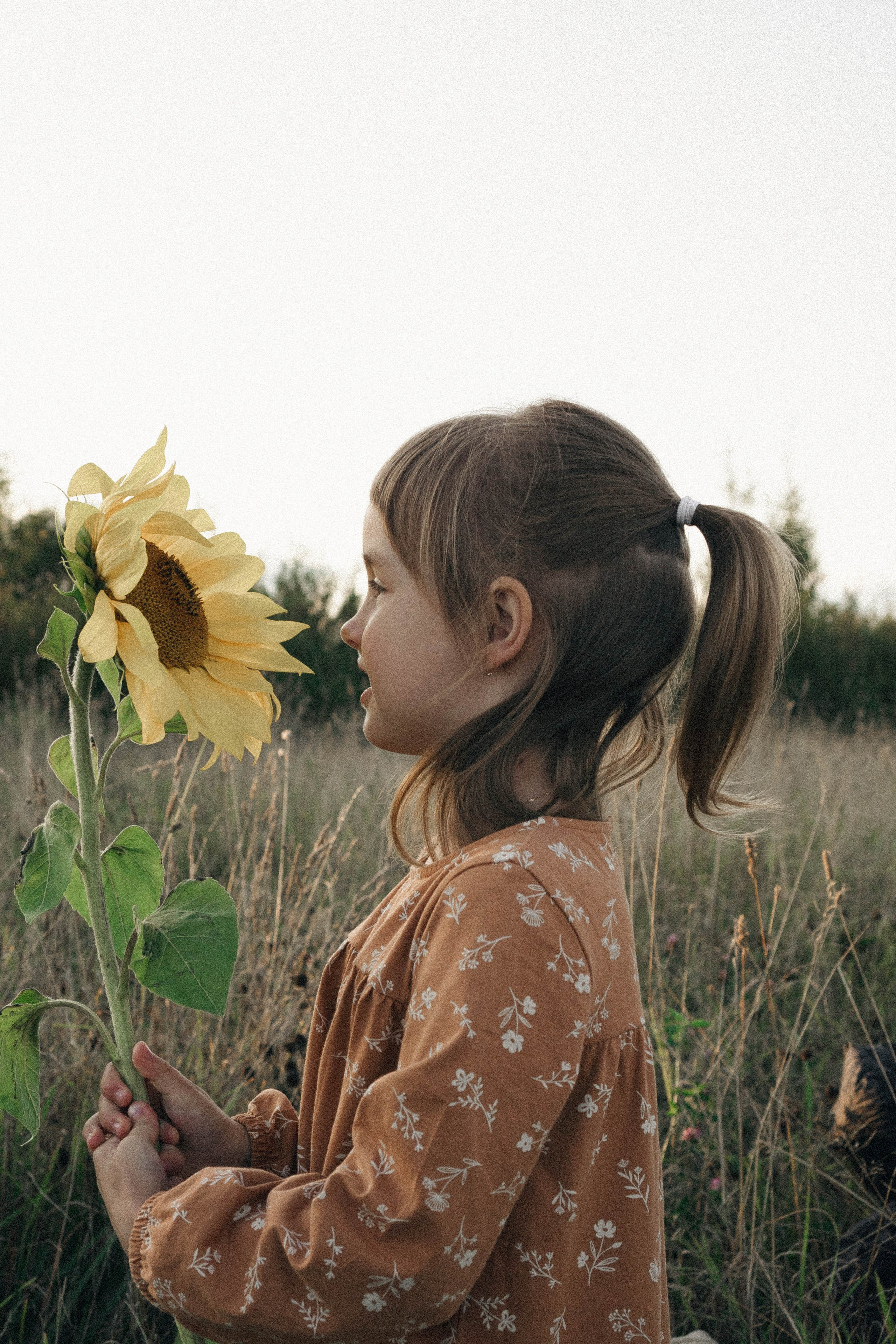 Семейная серия. Профессиональный фотограф, Санкт-Петербург — Виктория Богомолова