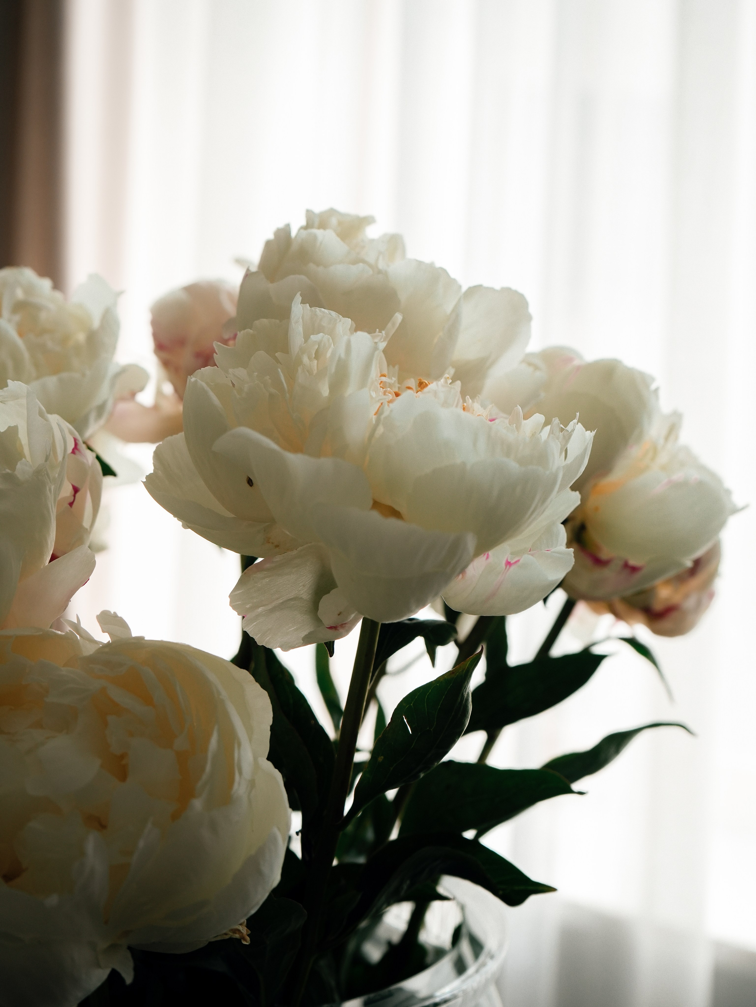 Светлана. Дизайн интерьера. Norikyan Diana